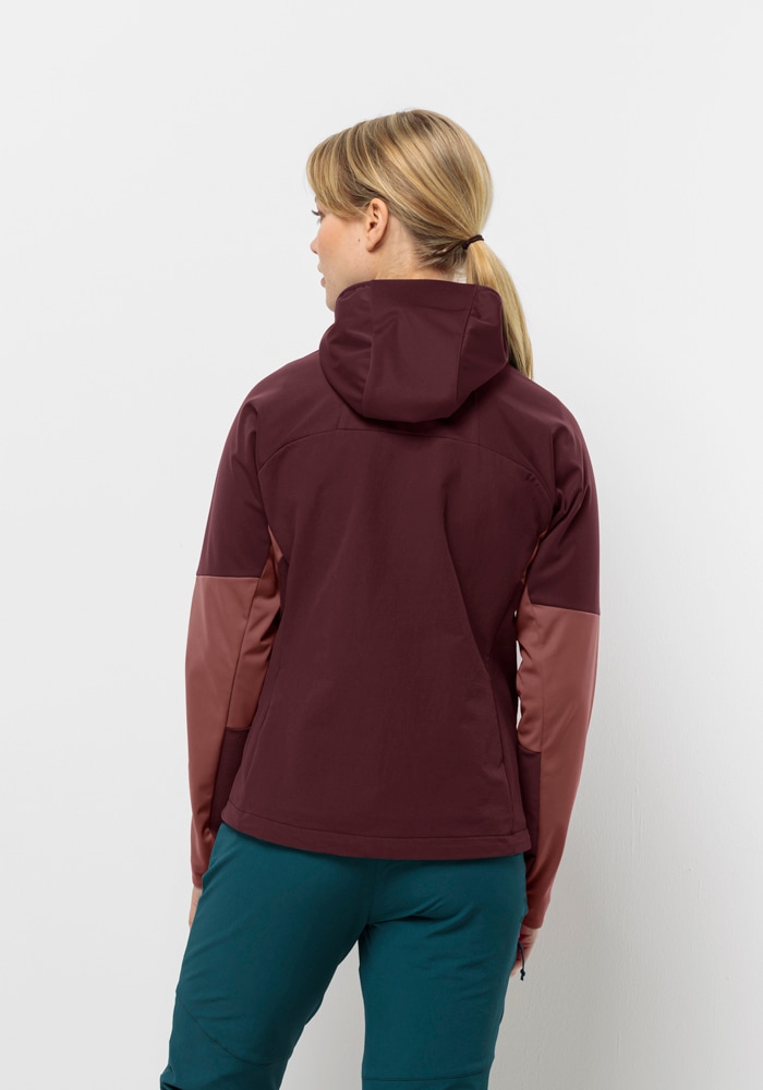 Jack Wolfskin Outdoorjacke »BRISSTAL HOODY W«, mit Kapuze