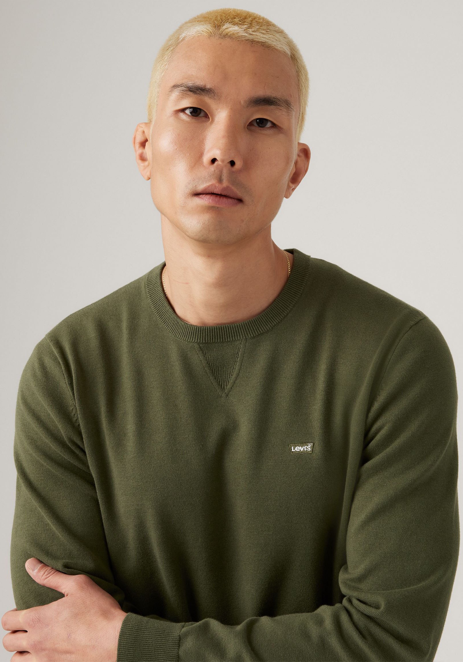 Levi's® Rundhalspullover »LIGHTWEIGHT HM SWEATER«