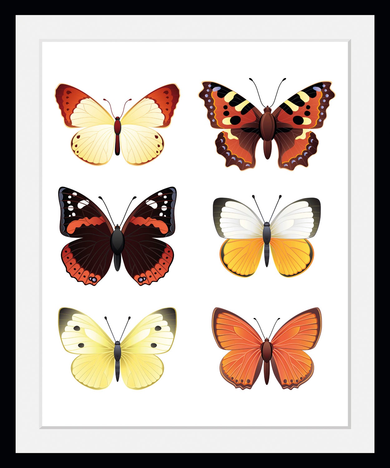 queence Bild »Elina«, Schmetterlinge-Kunst-Insekten-historische Ereignisse, günstig online kaufen