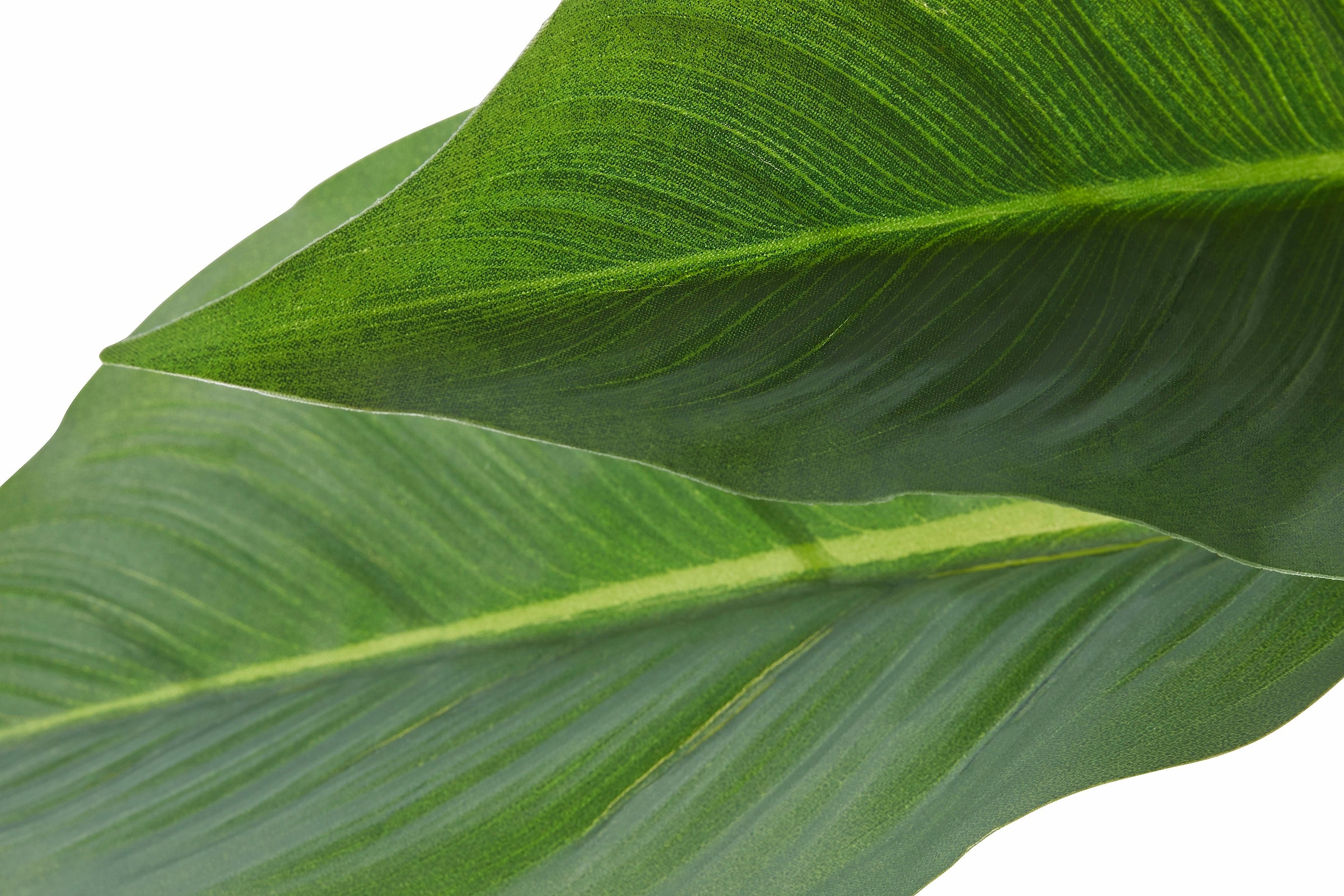 I.GE.A. Kunstpflanze »Strelitzienpflanze in Wasserhyazinthentopf« auf Raten  bestellen | Pflanzgefäße