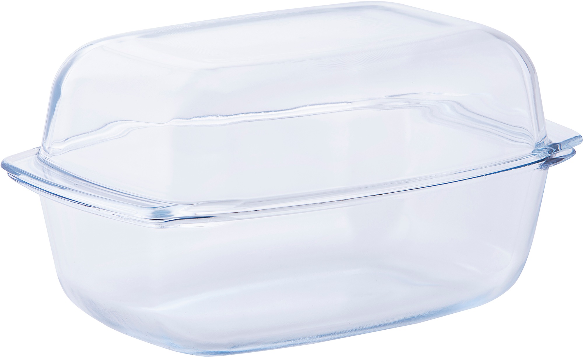 van Well Auflaufform Glas feuerfestes Glas, 7 Liter transparent Glas