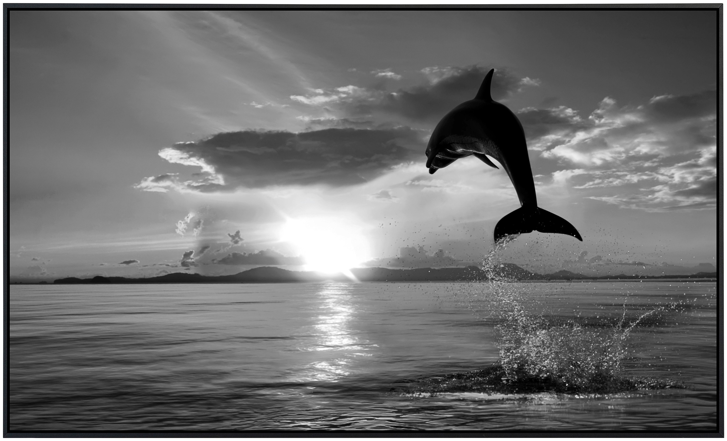 Papermoon Infrarotheizung »Delfin Schwarz & Weiß«, sehr angenehme Strahlung günstig online kaufen