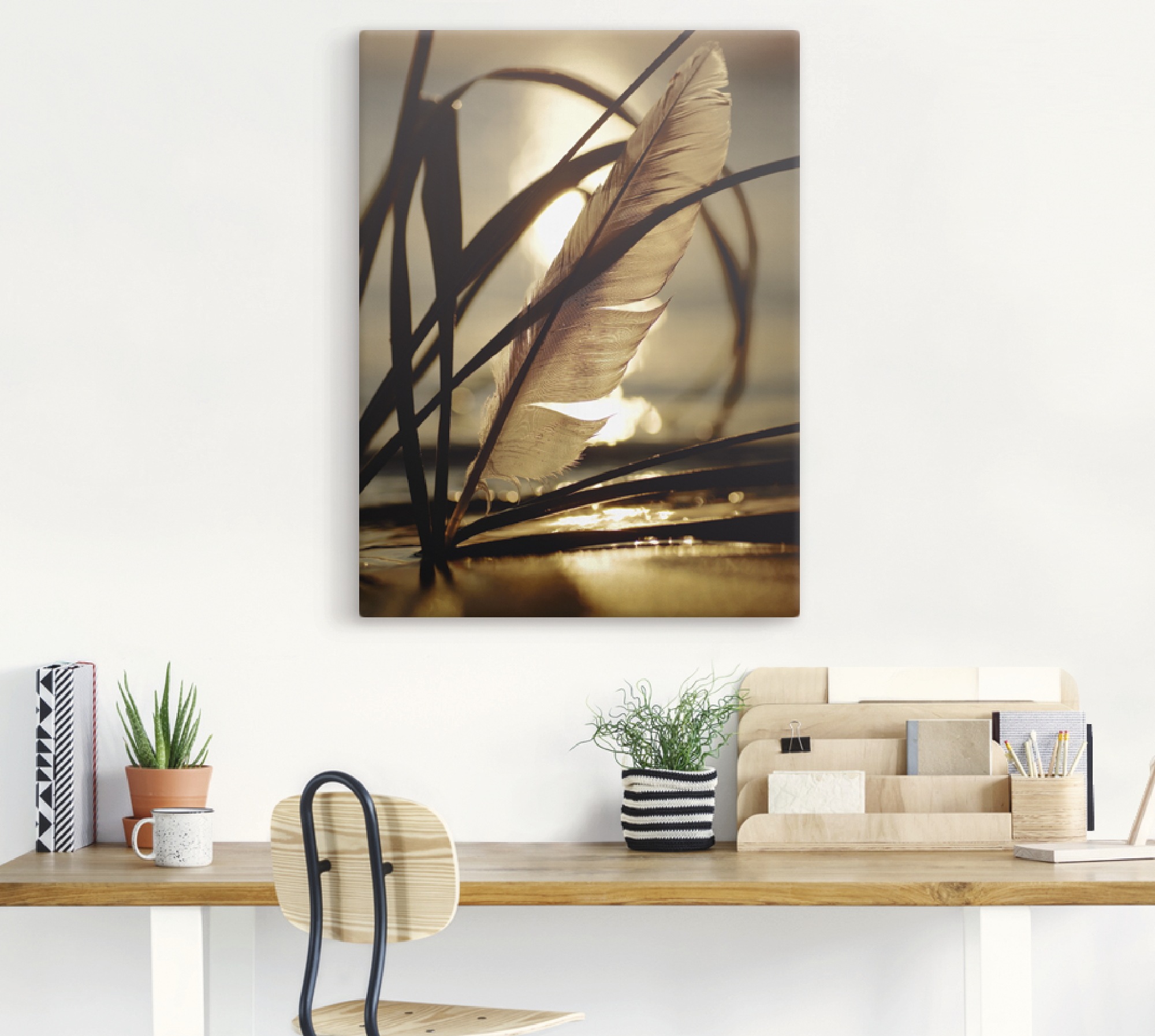 Artland Wandbild »Feder im Abendlicht« Gräser 1 Stk. tlg. als Leinwandbild, günstig online kaufen