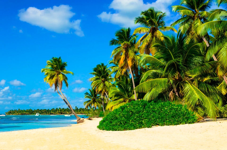 Papermoon Fototapete »Exotic Palm Beach« glatt günstig online kaufen
