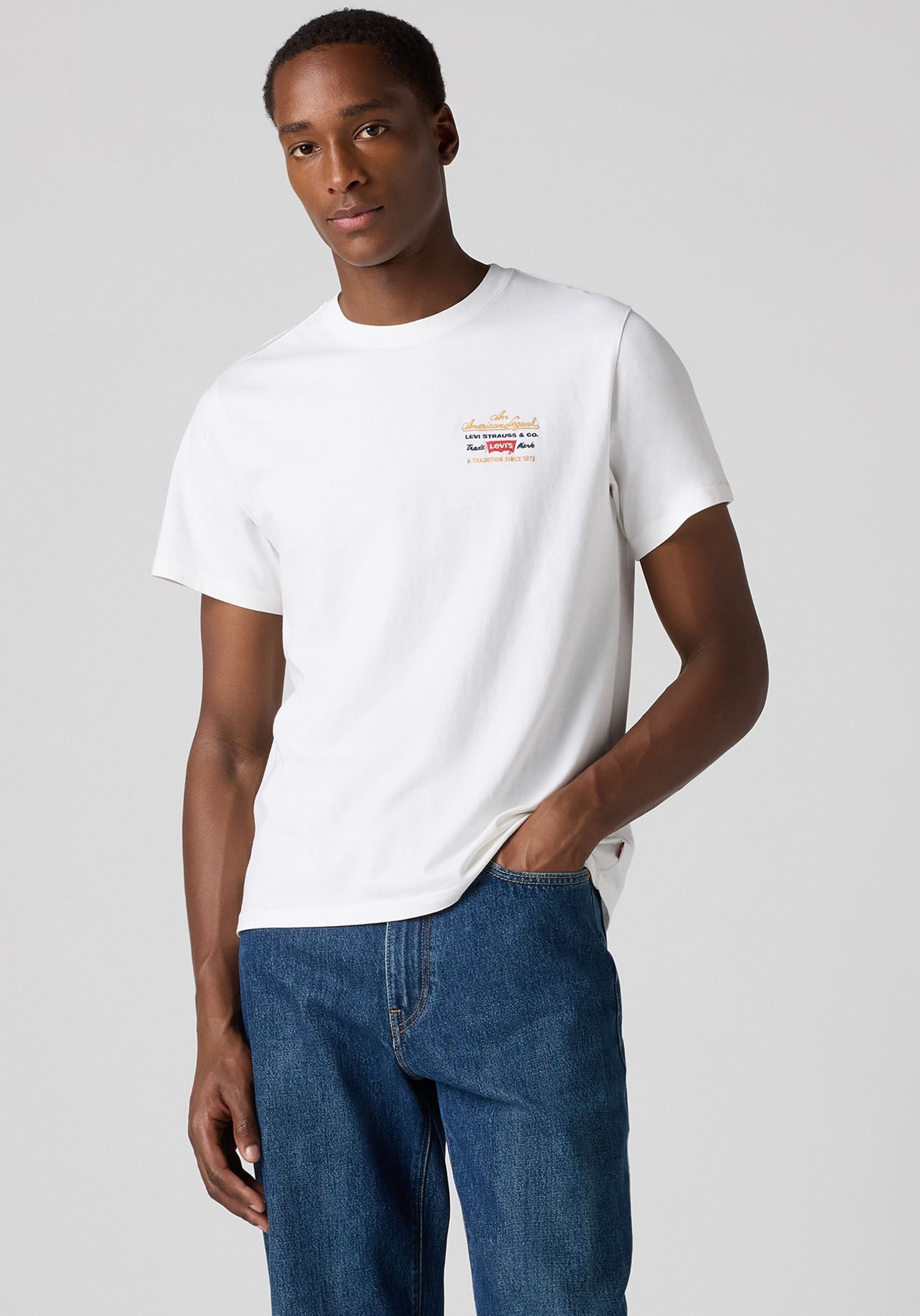 Levi's® T-Shirt »LV T-Shirt RELAXED«