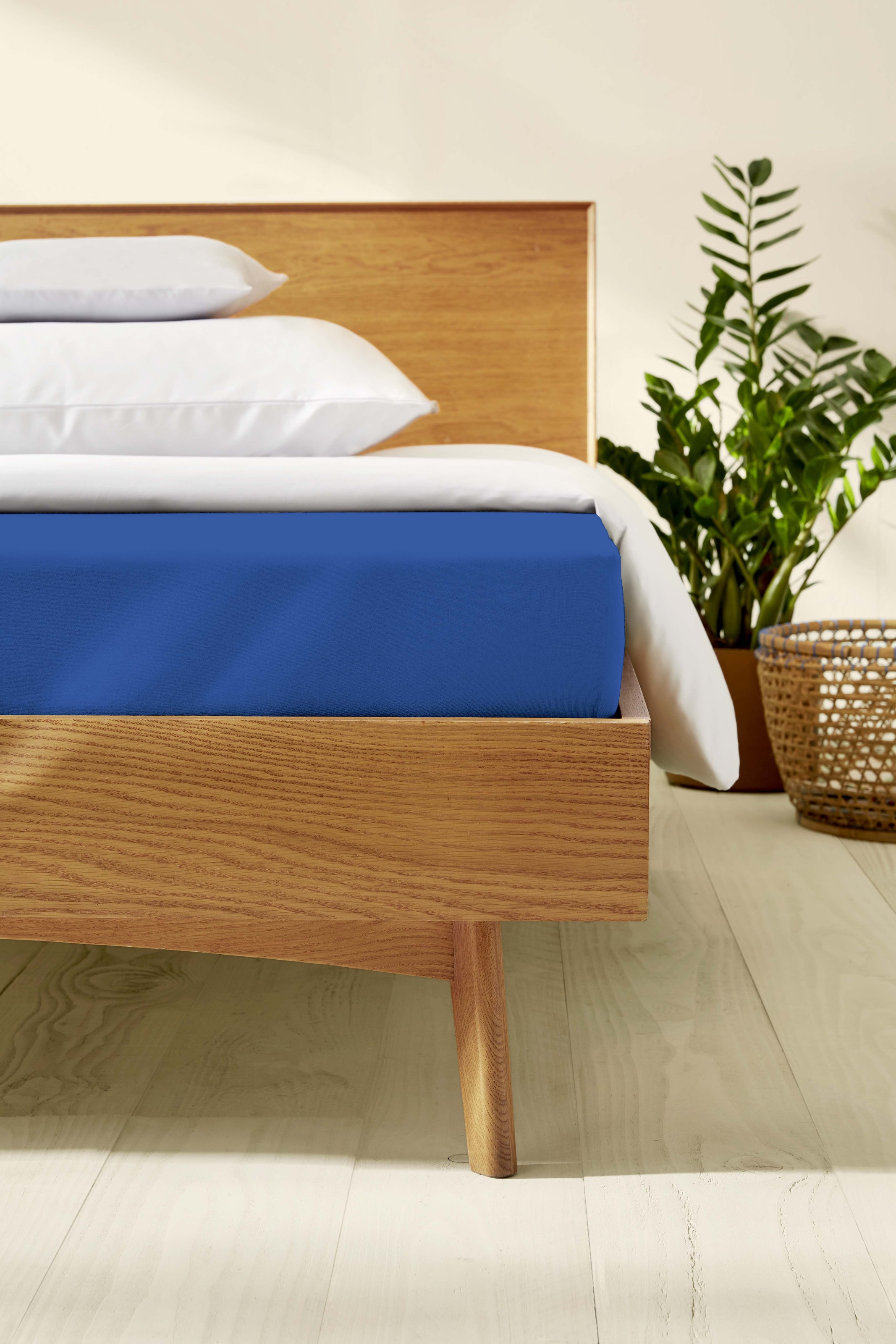Kaeppel Spannbettlaken »Single Jersey Mako Elasthan«, aus 97% Baumwolle und günstig online kaufen