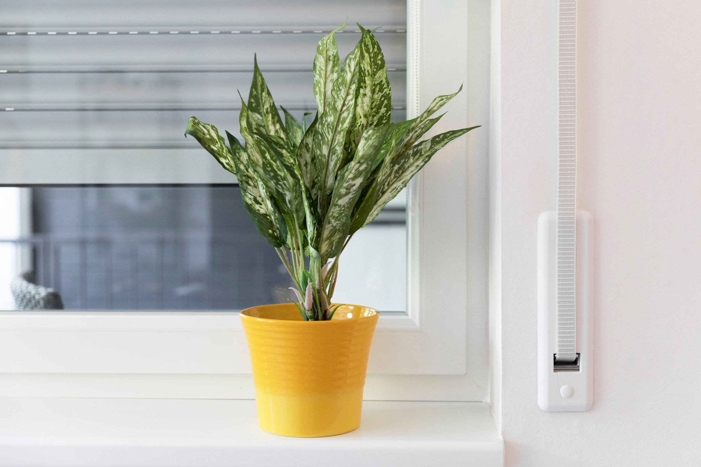 SCHELLENBERG Gurtwickler-Abdeckplatte »Duo Maxi, 18,5 cm Lochabstand, langlebig aus Kunststoff« Set, 1 Stk. tlg. Rollladen Abdeckblenden für Gurtwickler und Einlasswickler