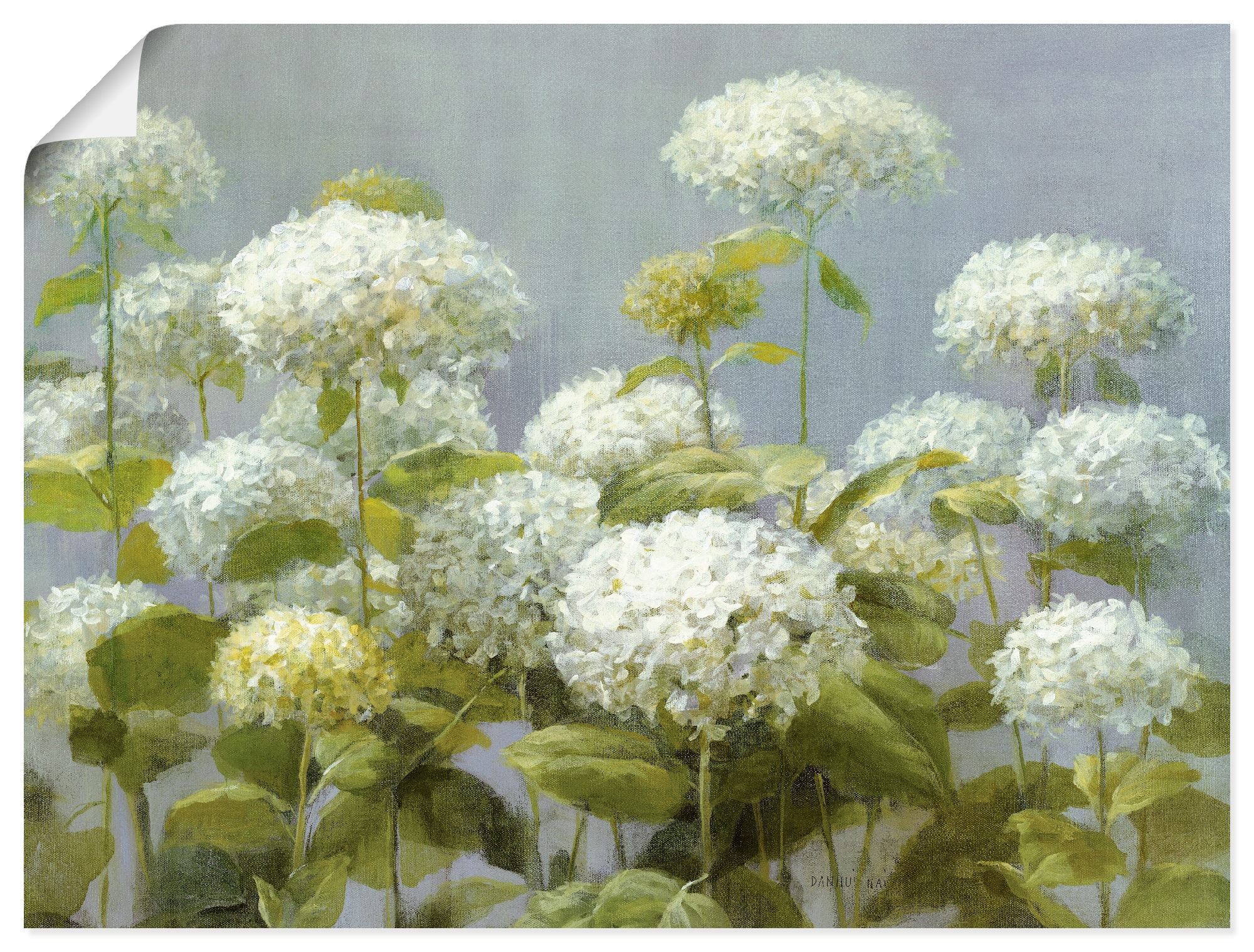 als auf in Wandbild »Weißer Garten«, (1 Leinwandbild, verschied. Poster, kaufen St.), Wandaufkleber Blumen, Raten Hortensien Größen Artland