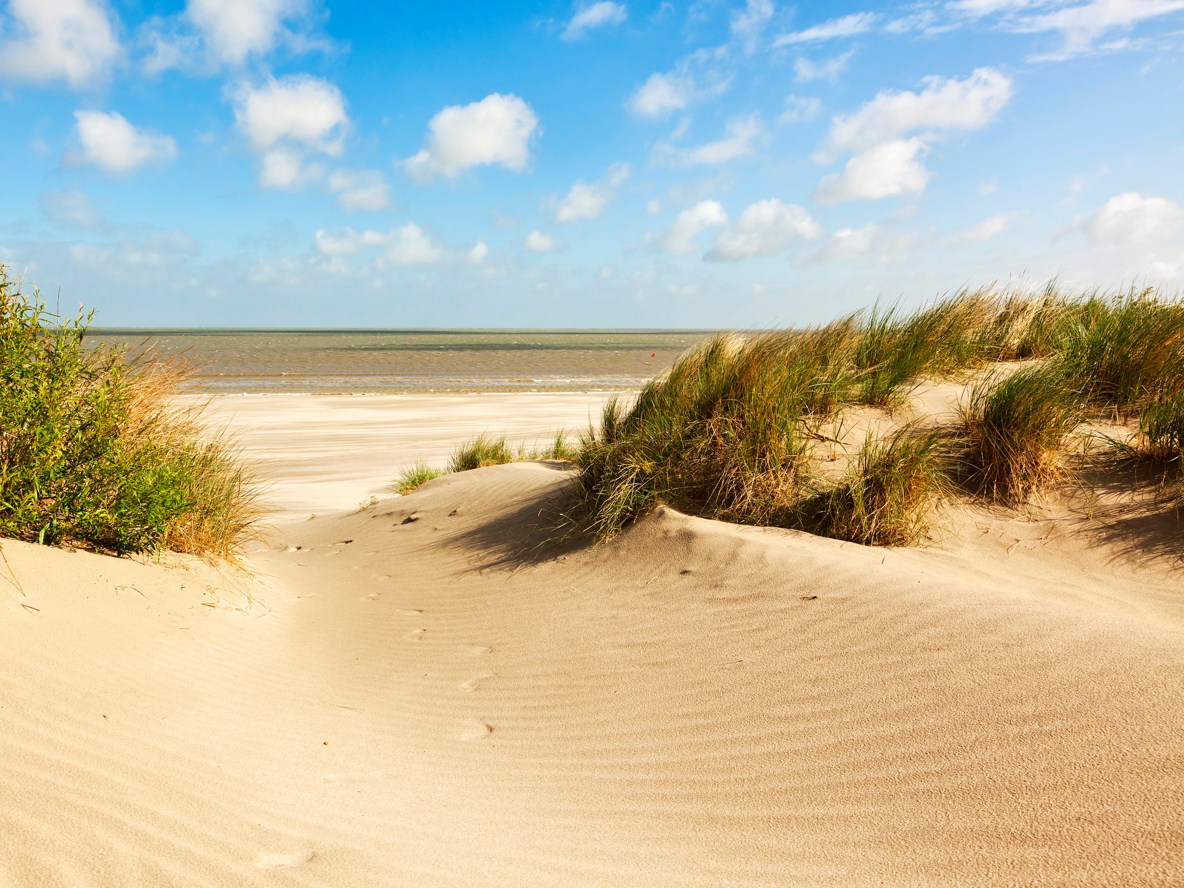 Papermoon Fototapete »Dunes Knokke-Heist« glatt günstig online kaufen