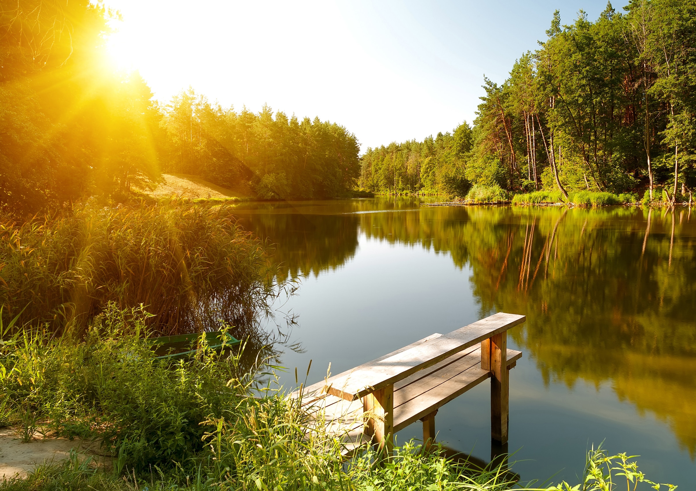 Papermoon Fototapete »Summer Forest Lake« glatt günstig online kaufen