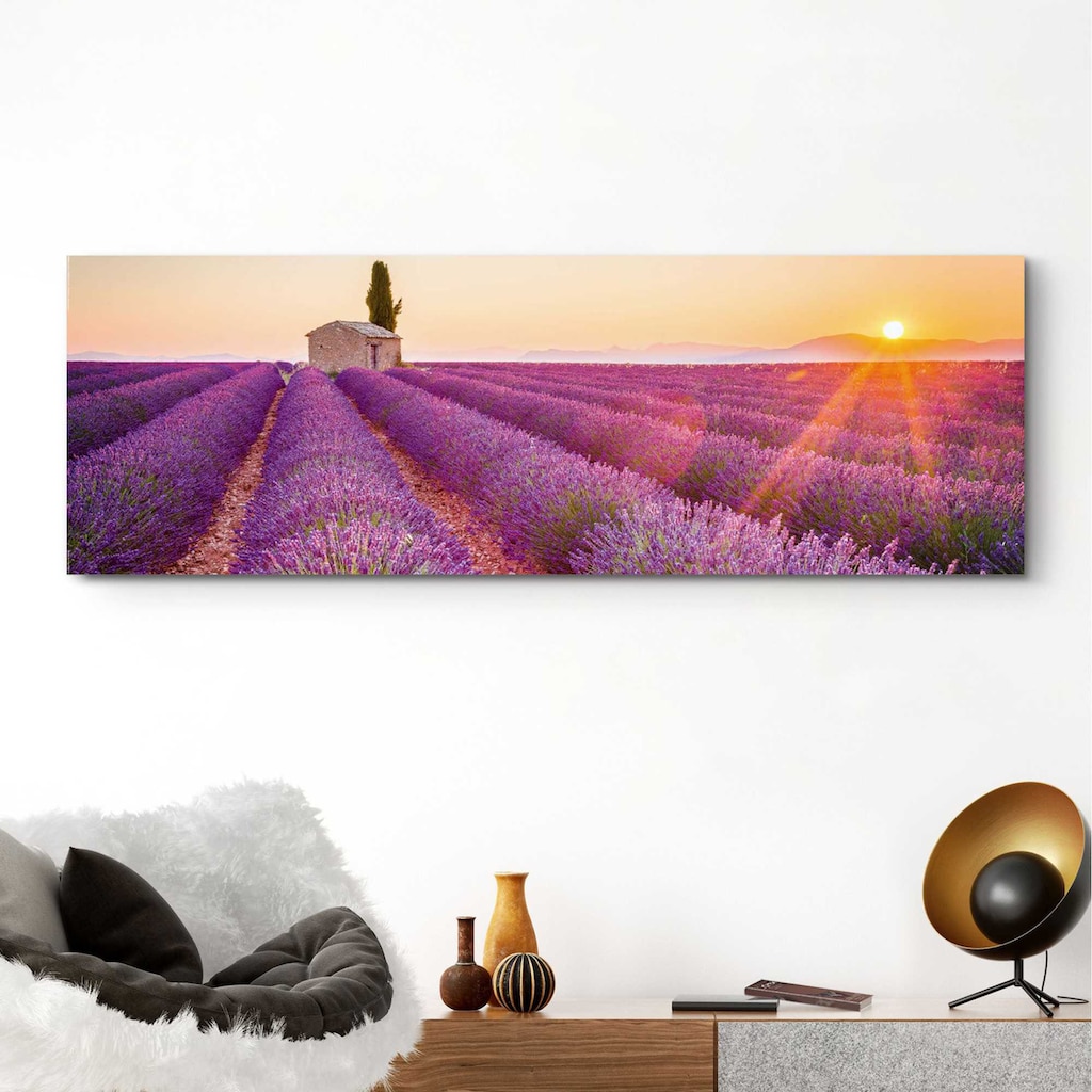 Home affaire Deco-Panel »Lavendel Horizont«