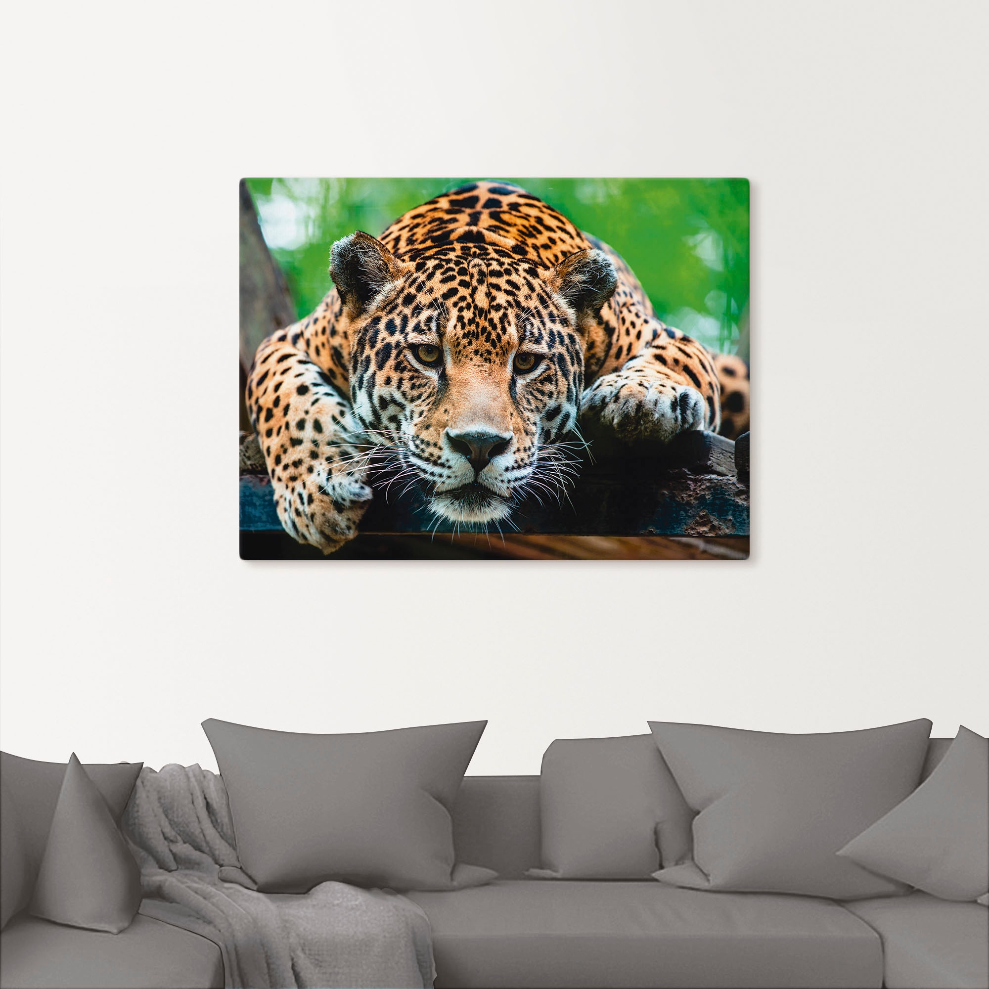 Artland Wandbild »Südamerikanischer Jaguar« Wildtiere 1 Stk. tlg. als Alubild, Outdoorbild, Leinwandbild, Poster, Wandaufkleber