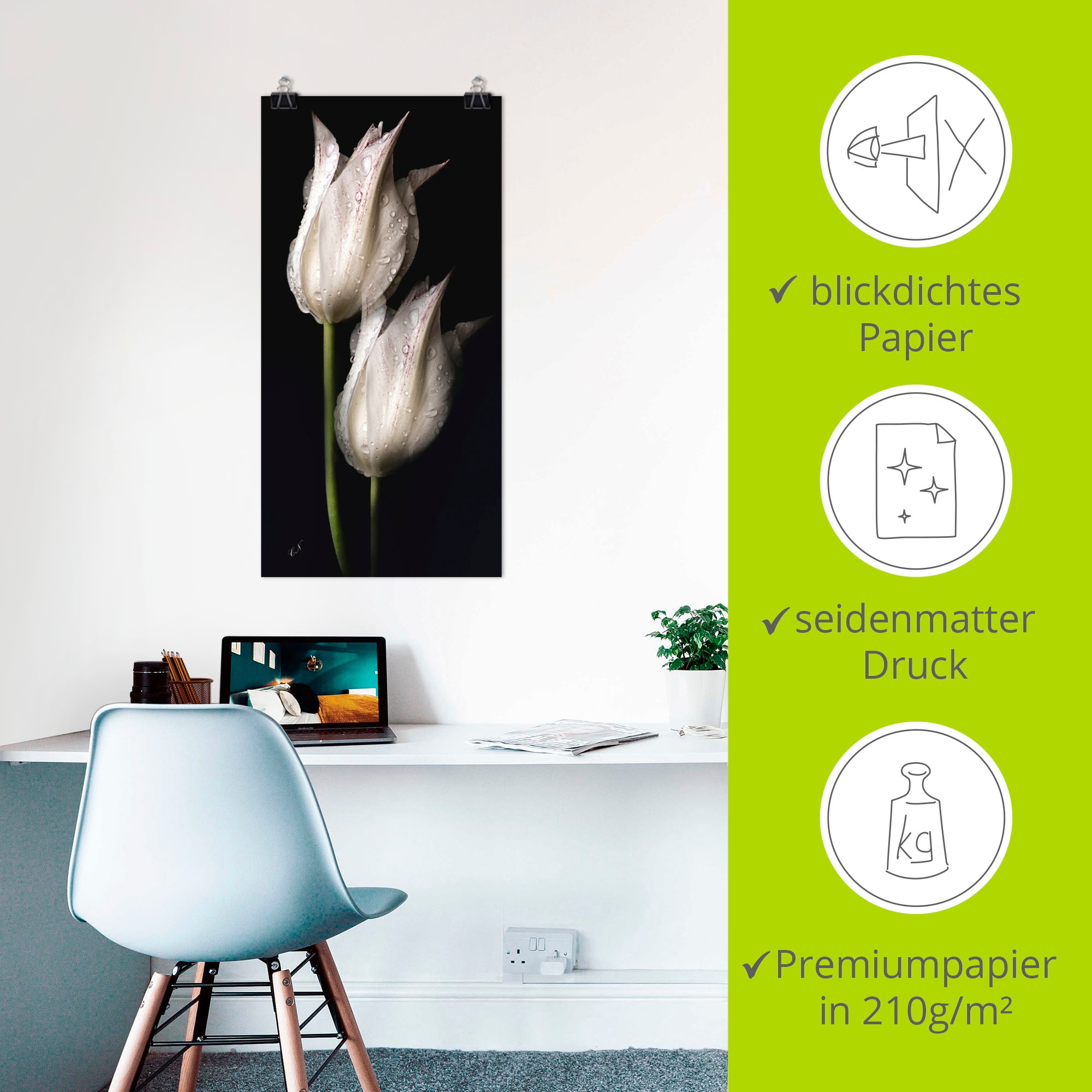 Artland Wandbild »Weiße Tulpen in der Nacht«, Blumenbilder, (1 St.), als Alubild, Outdoorbild, Leinwandbild, Poster, Wandaufkleber