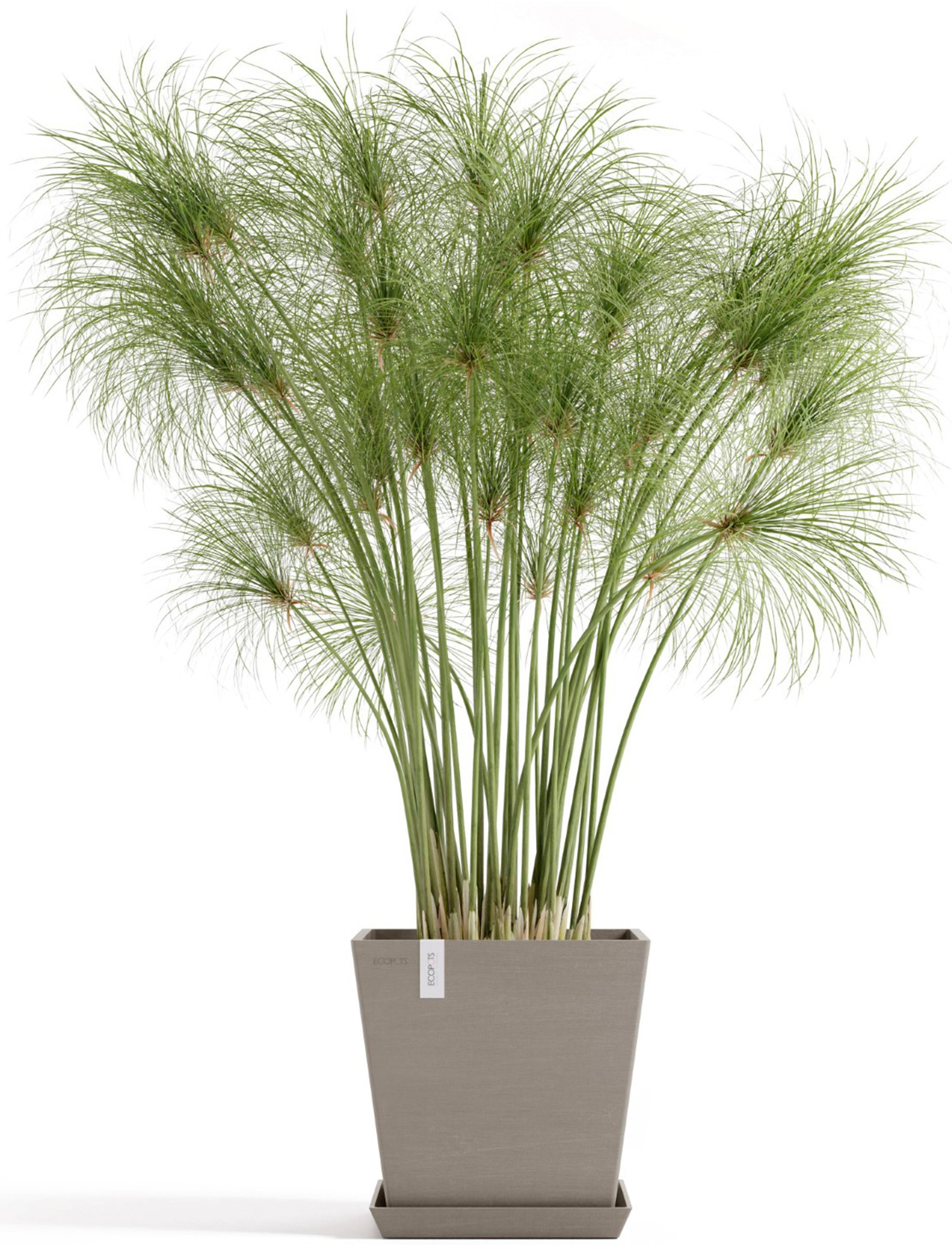 ECOPOTS Blumentopf »Rotterdam 25 + Wassersystem Taupe« für innen und außen: frostsicher, bruchsicher und lichtbeständig