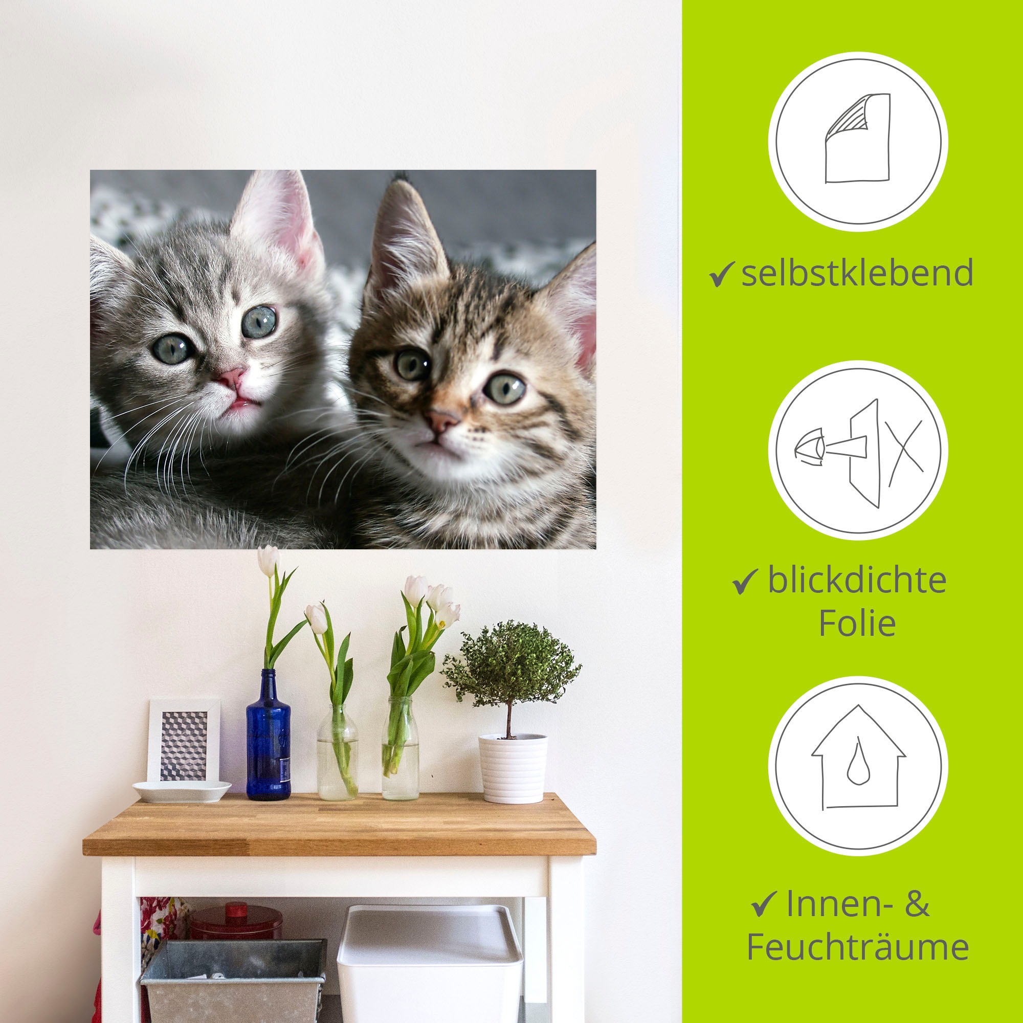 Artland Wandbild »Katze«, Haustiere, (1 St.), als Alubild, Outdoorbild, Leinwandbild, Poster, Wandaufkleber