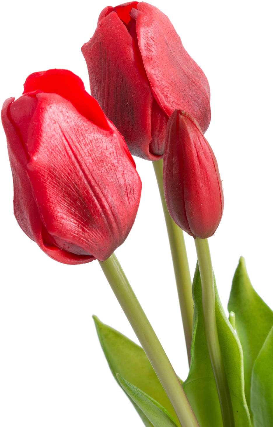 kaufen auf »Tulpenbündel«, (1 Botanic-Haus St.) Kunstblume Raten