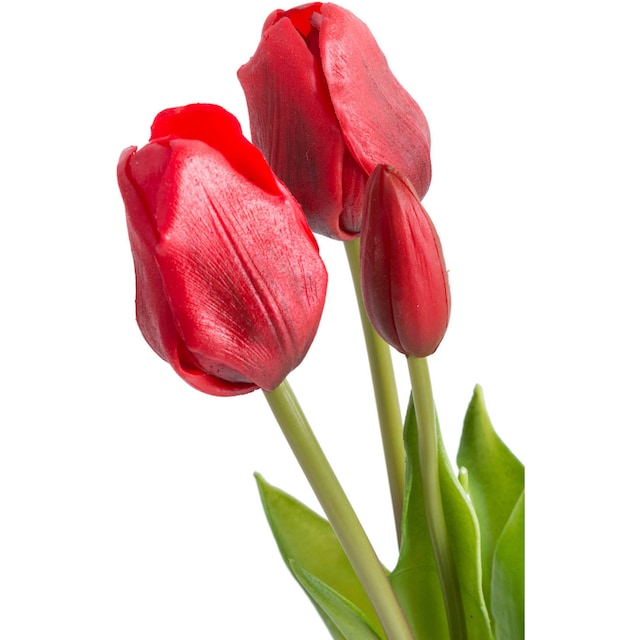 Botanic-Haus Kunstblume »Tulpenbündel«, (1 St.) auf Raten kaufen