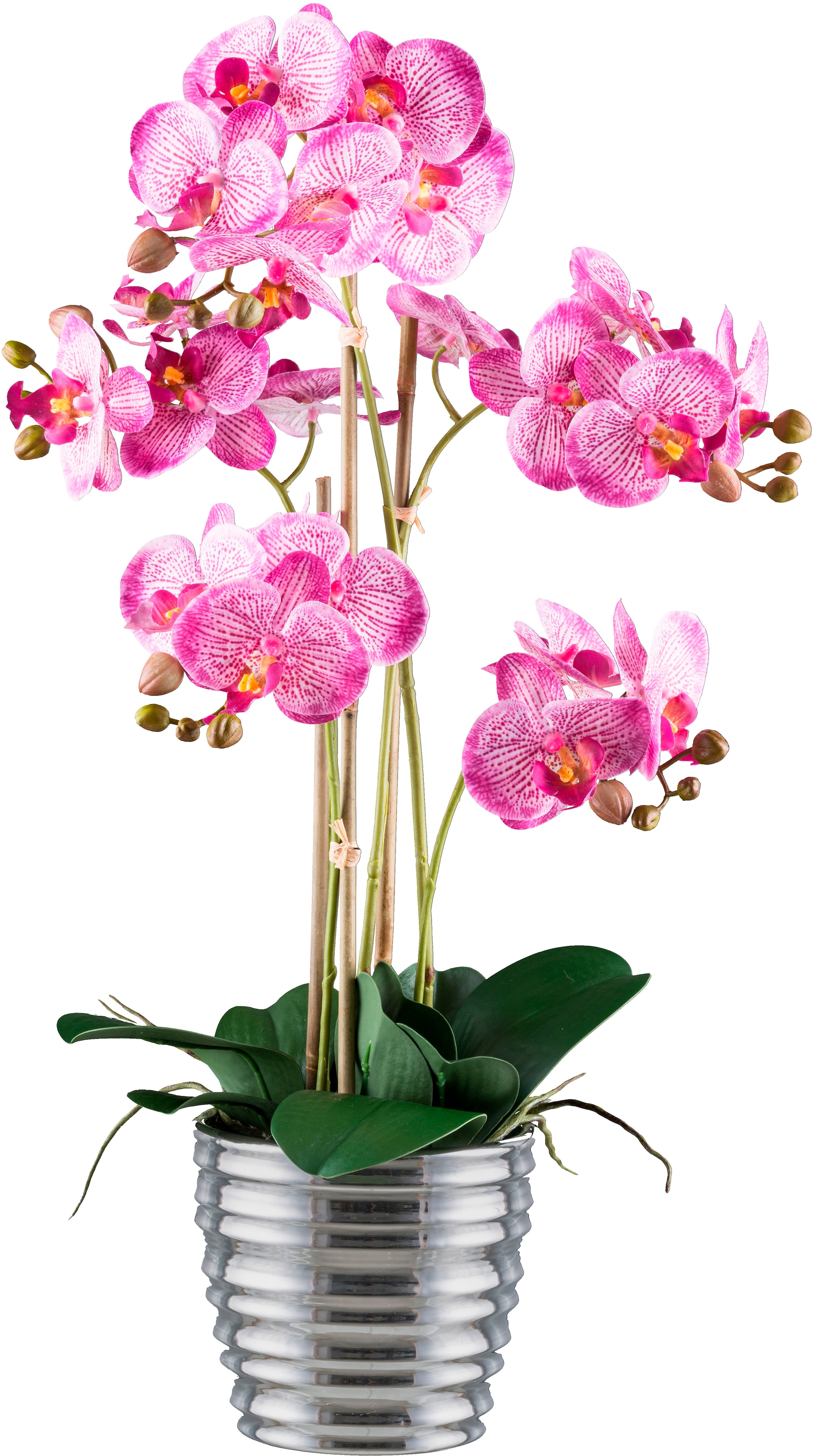 Creativ green Kunstorchidee »Orchidee Phalaenopsis«, mit silberfarbenem Ker günstig online kaufen