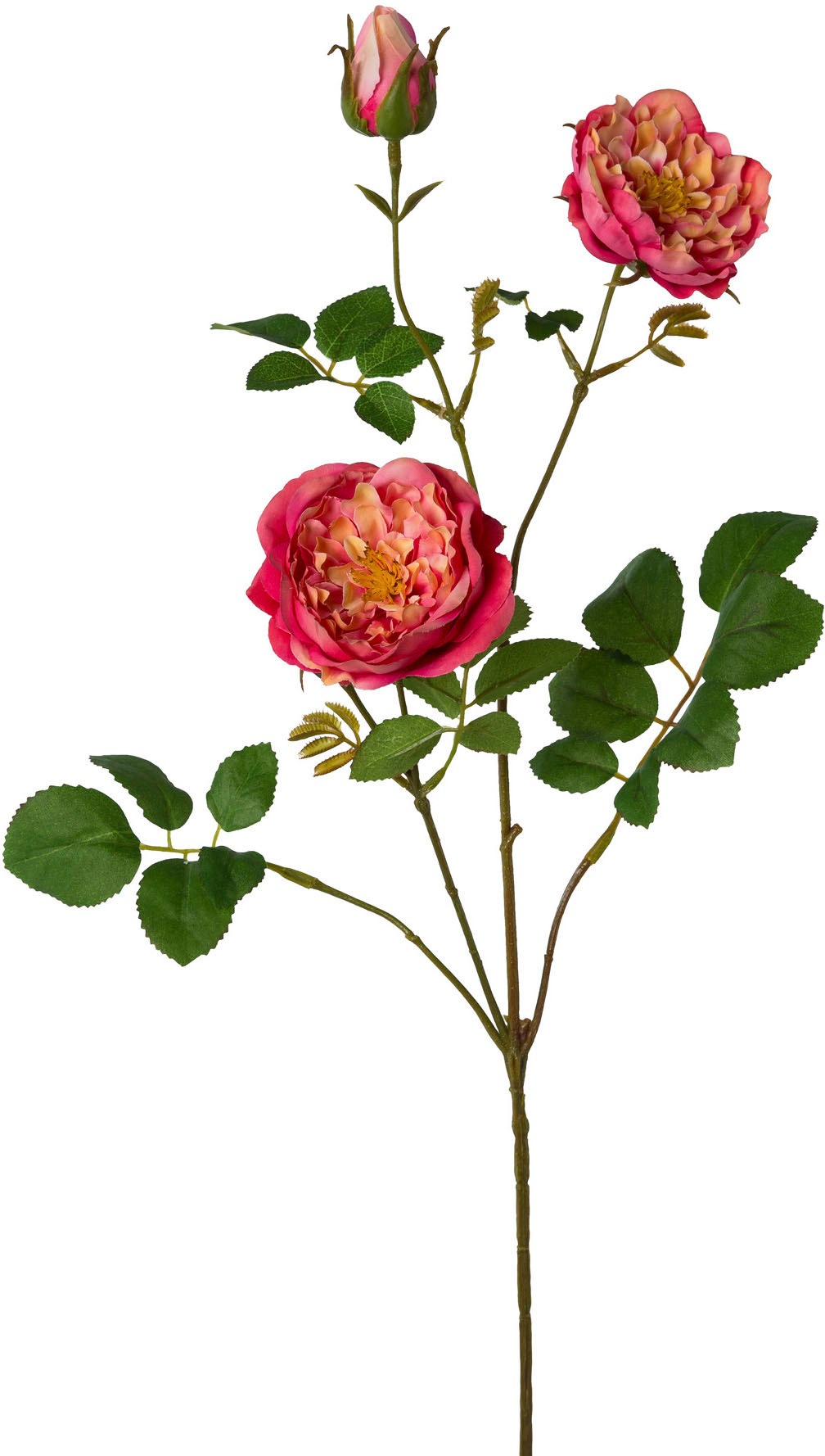 Creativ green Kunstblume »Rosenzweig«