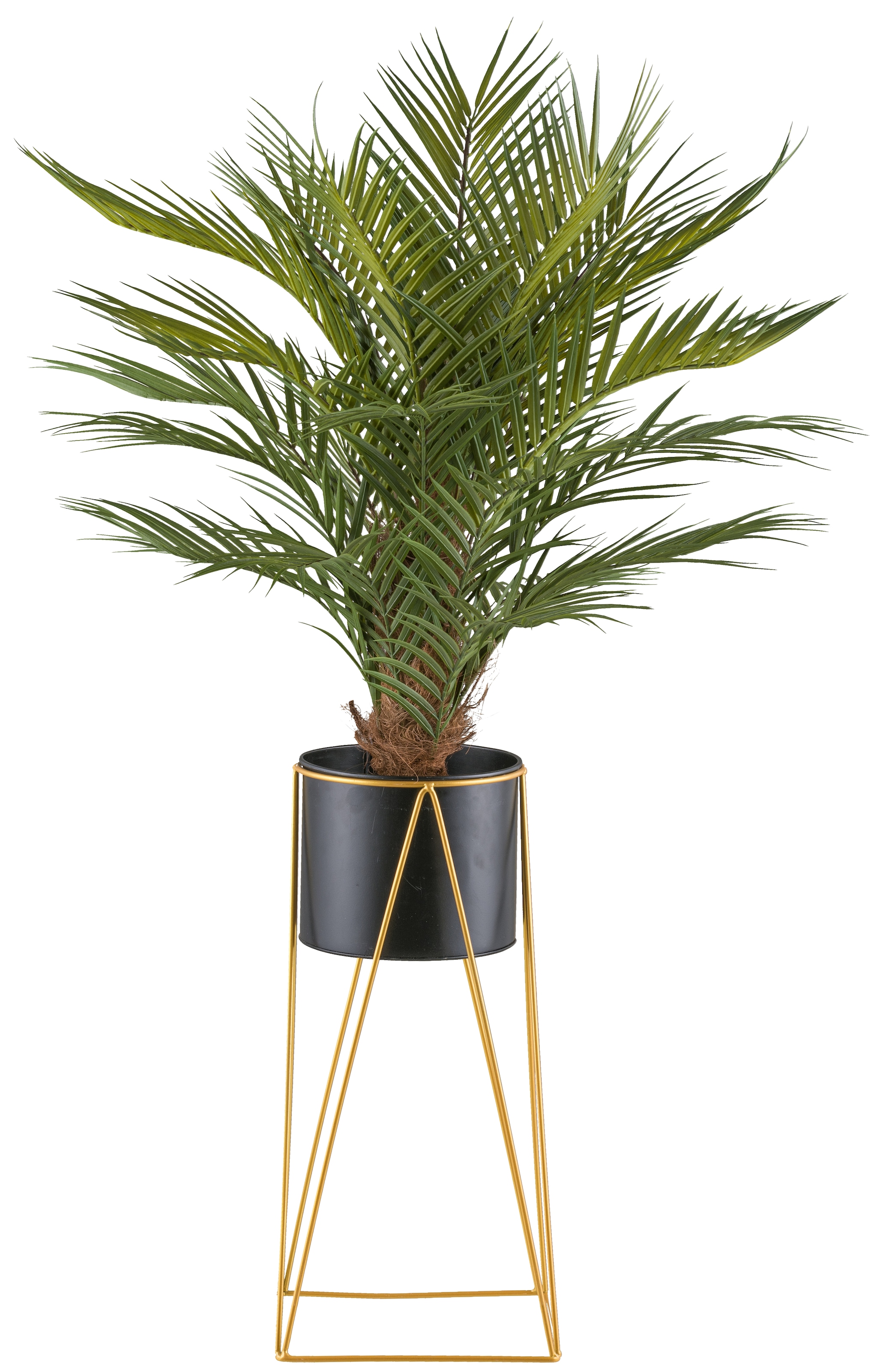 Creativ green Kunstpalme »Arecapalme«, mit Metallrack günstig online kaufen