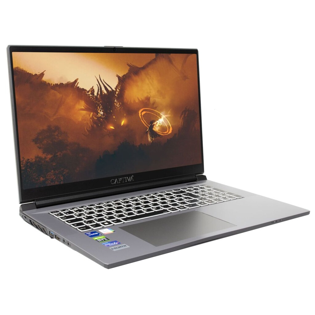 CAPTIVA Gaming-Notebook »Advanced Gaming I71-911CH«, 43,9 cm, / 17,3 Zoll, Intel, Core i5, GeForce RTX 3060, 1000 GB SSD