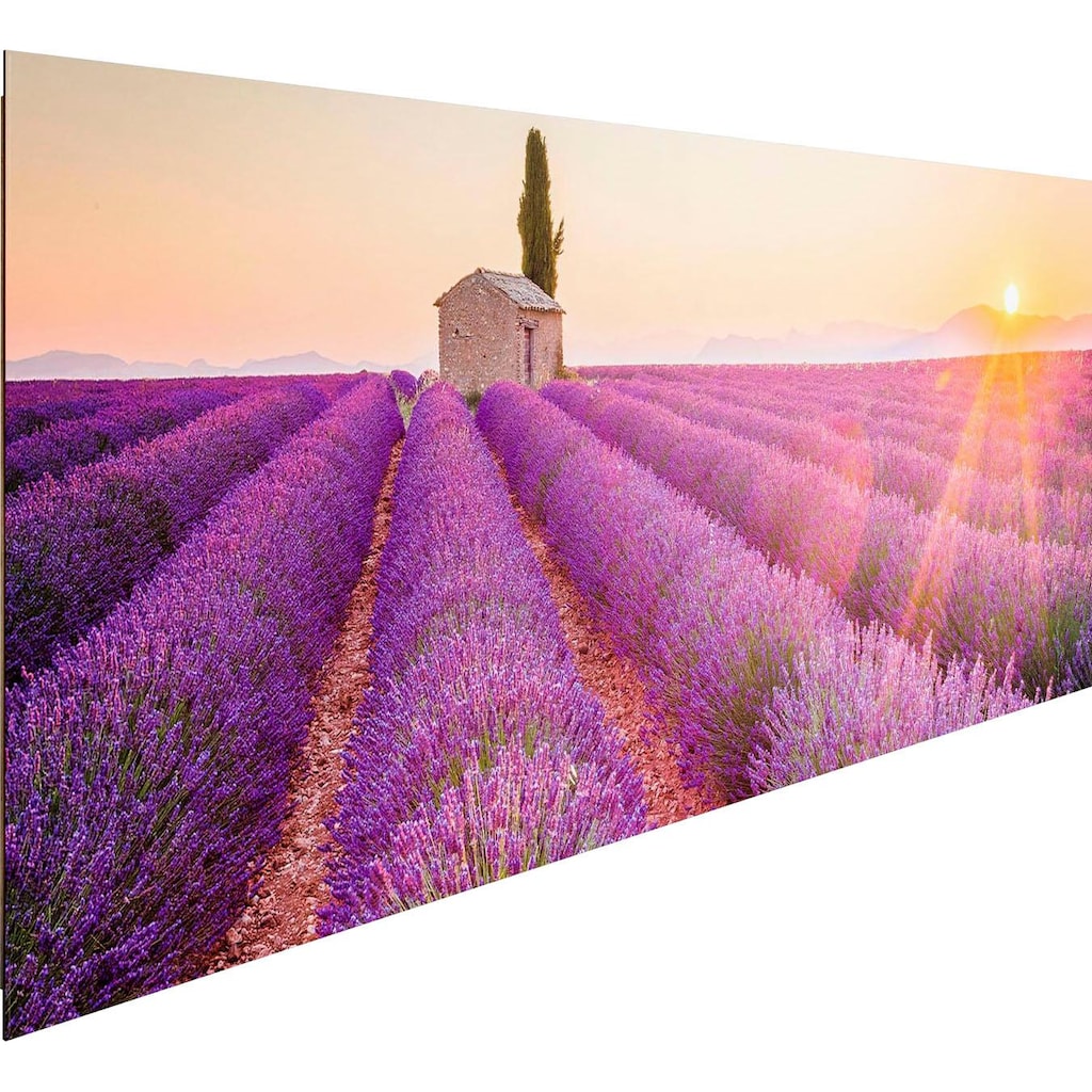 Home affaire Deco-Panel »Lavendel Horizont«