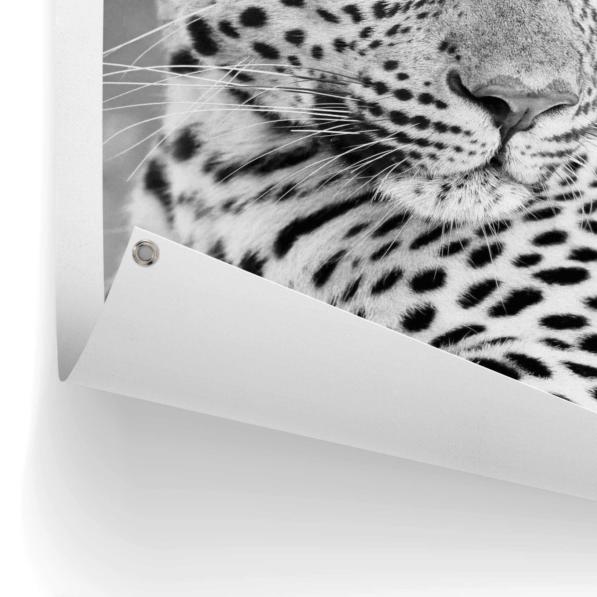 Reinders! Poster »Leopard«, Outdoor für Garten oder Balkon