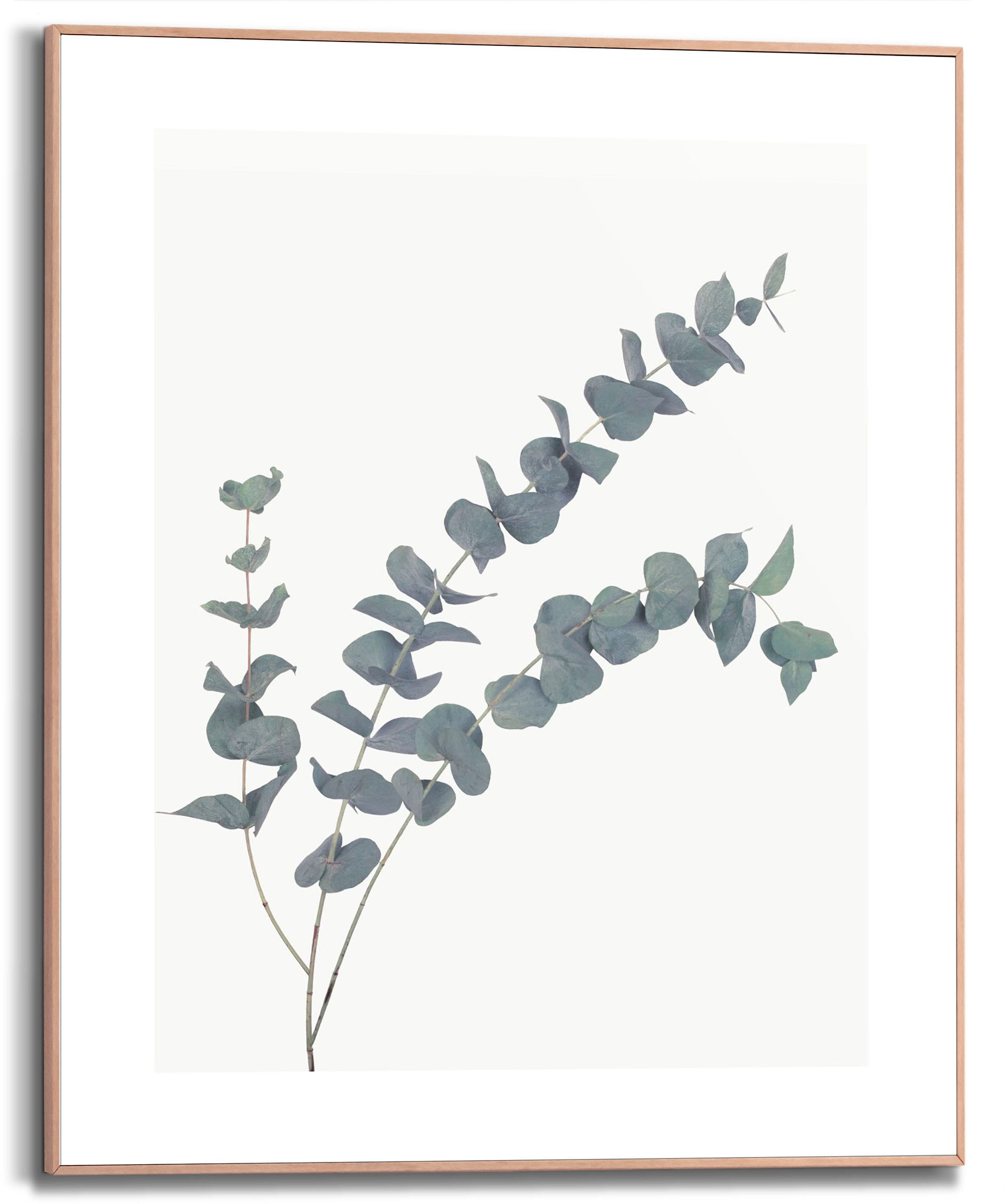 Reinders! Bild mit Rahmen St.) auf kaufen »Eucalyptus«, Rechnung (1