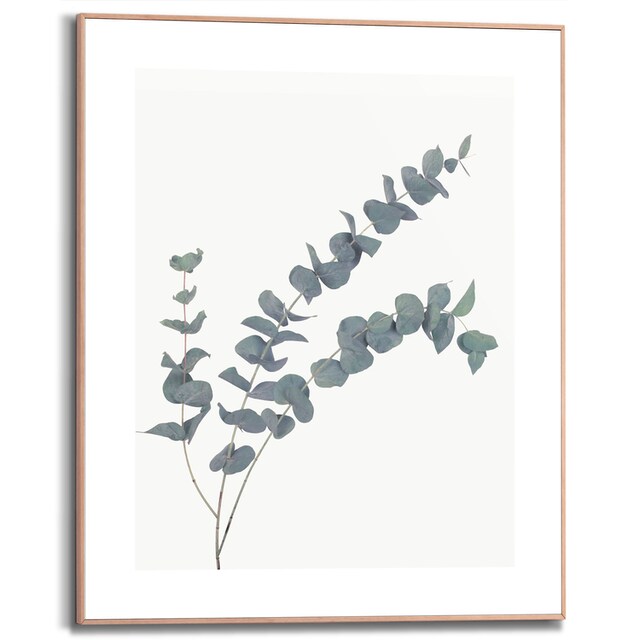 Reinders! Bild mit Rahmen »Eucalyptus«, (1 St.) auf Rechnung kaufen