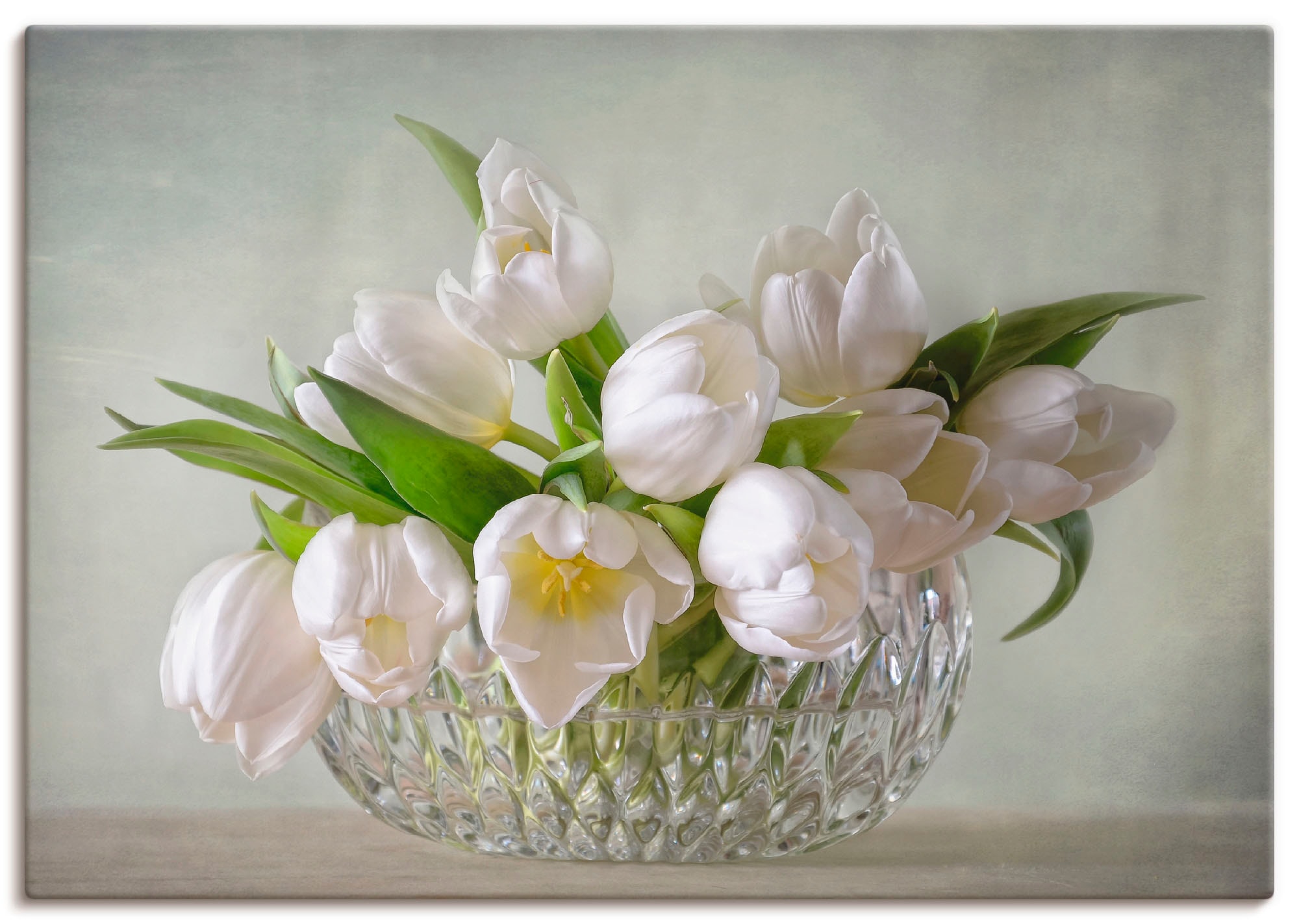 Artland Wandbild »Weiße Tulpen« Blumen 1 Stk. tlg. als Leinwandbild, Poster günstig online kaufen