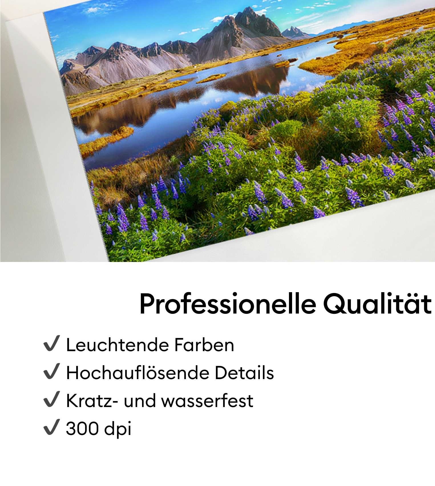 Cricut Fotodrucker »StickerPix Print + Cut™ Essential Bundle«