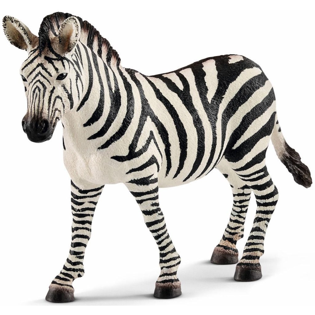 Schleich® Spielfigur »WILD LIFE, Zebra Stute (14810)«