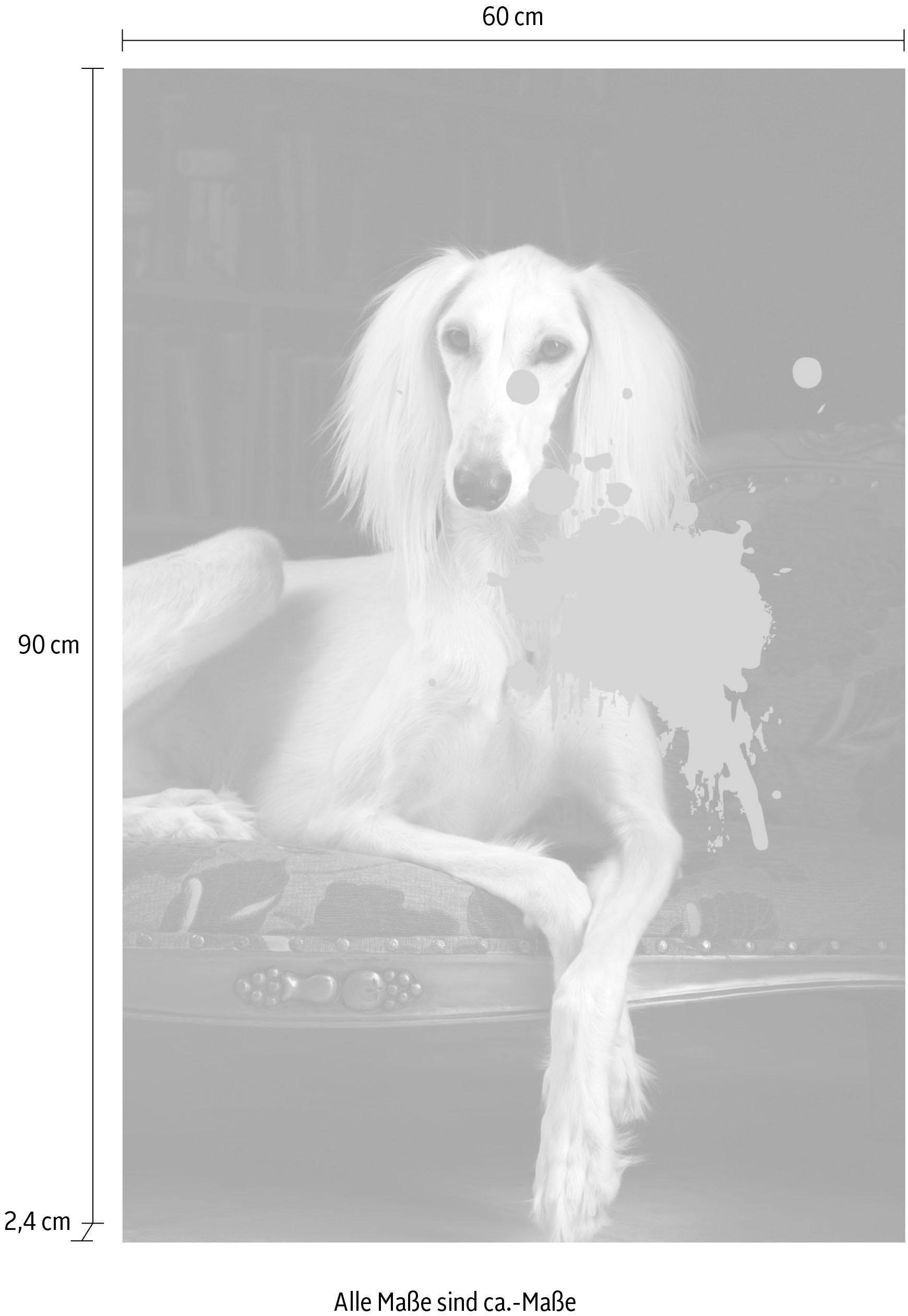 queence Acrylglasbild »Hund mit Farbklecks« Formen | Gemälde | Haustiere | Historische Persönlichkeiten | Hund | Hundebilder | Kunst Fine Art-Print in Galeriequalität