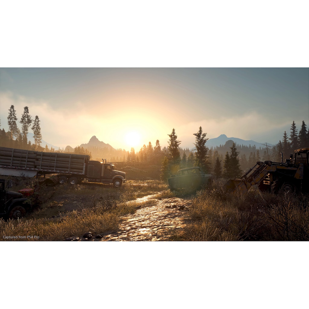 PlayStation 4 Spielesoftware »Days Gone«, PlayStation 4