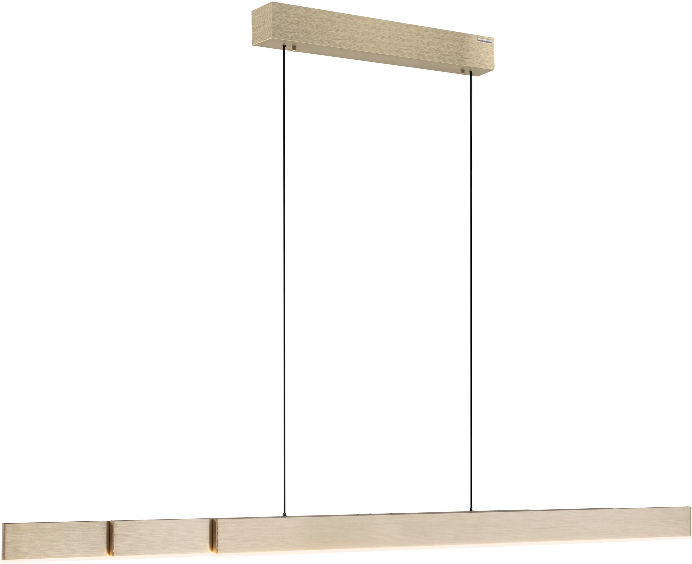 Neuhaus PURE LED Pendelleuchte »PURE Moto-Rise« LED-Board 1 Stk. warmweiß - kaltweiß e-LIFT® Funktion, e-SLIDE® Funktion, Fernbedienung