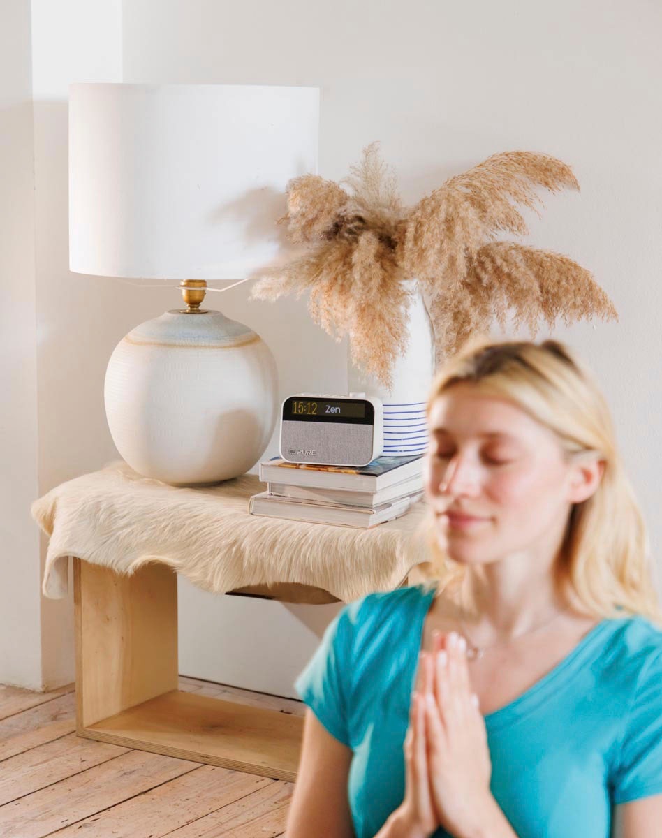 Pure Bluetooth-Lautsprecher »Moment«
