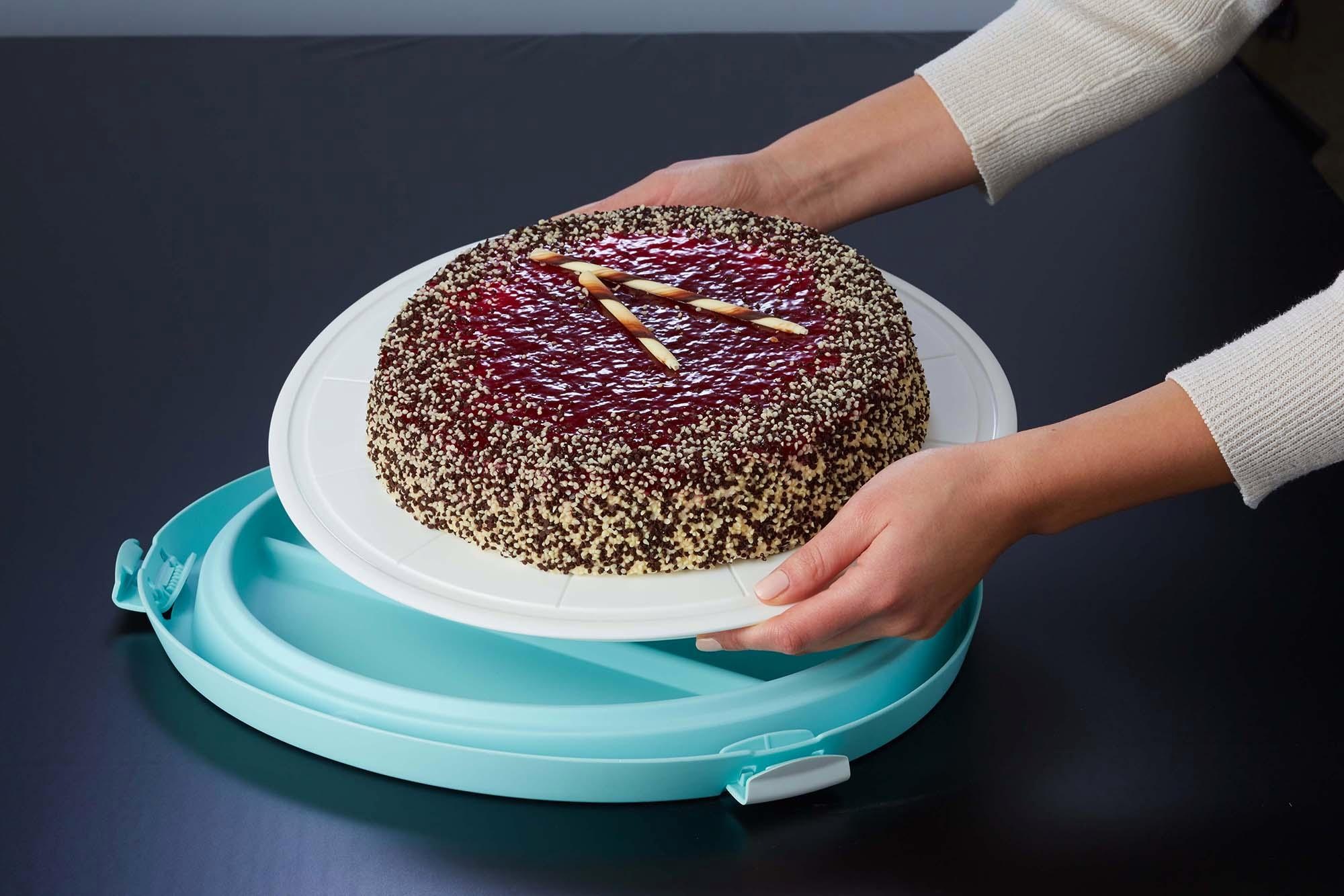 5. Bild von keeeper Kuchentransportbox »emilio«, (1 tlg.)