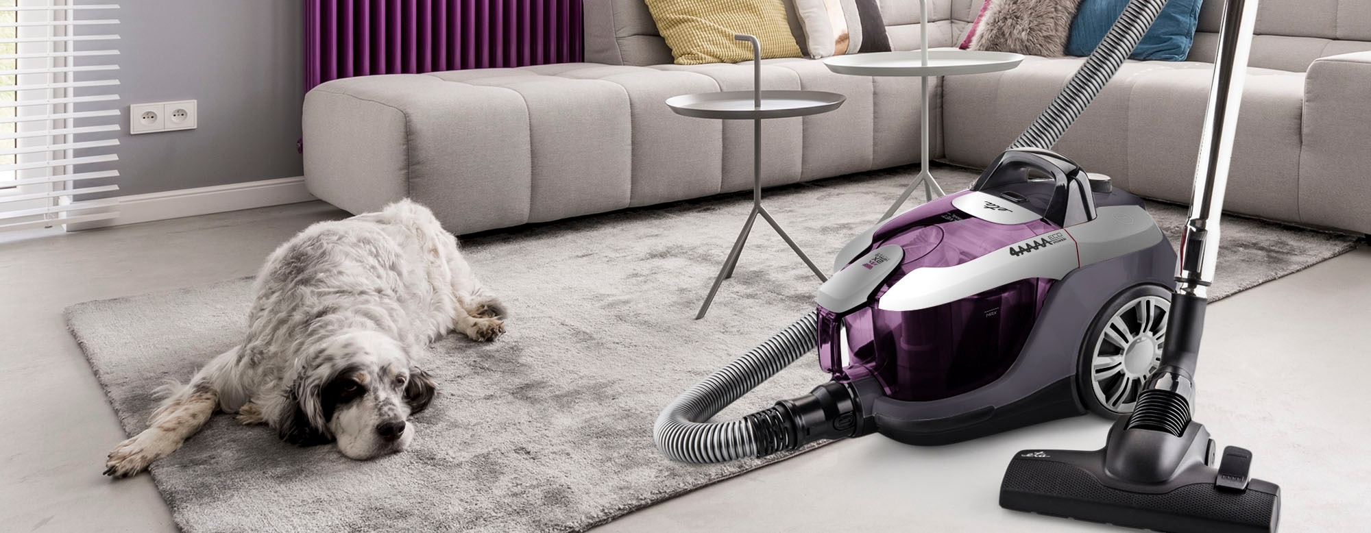 eta Bodenstaubsauger »Salvet Animal«, 700 W, beutellos