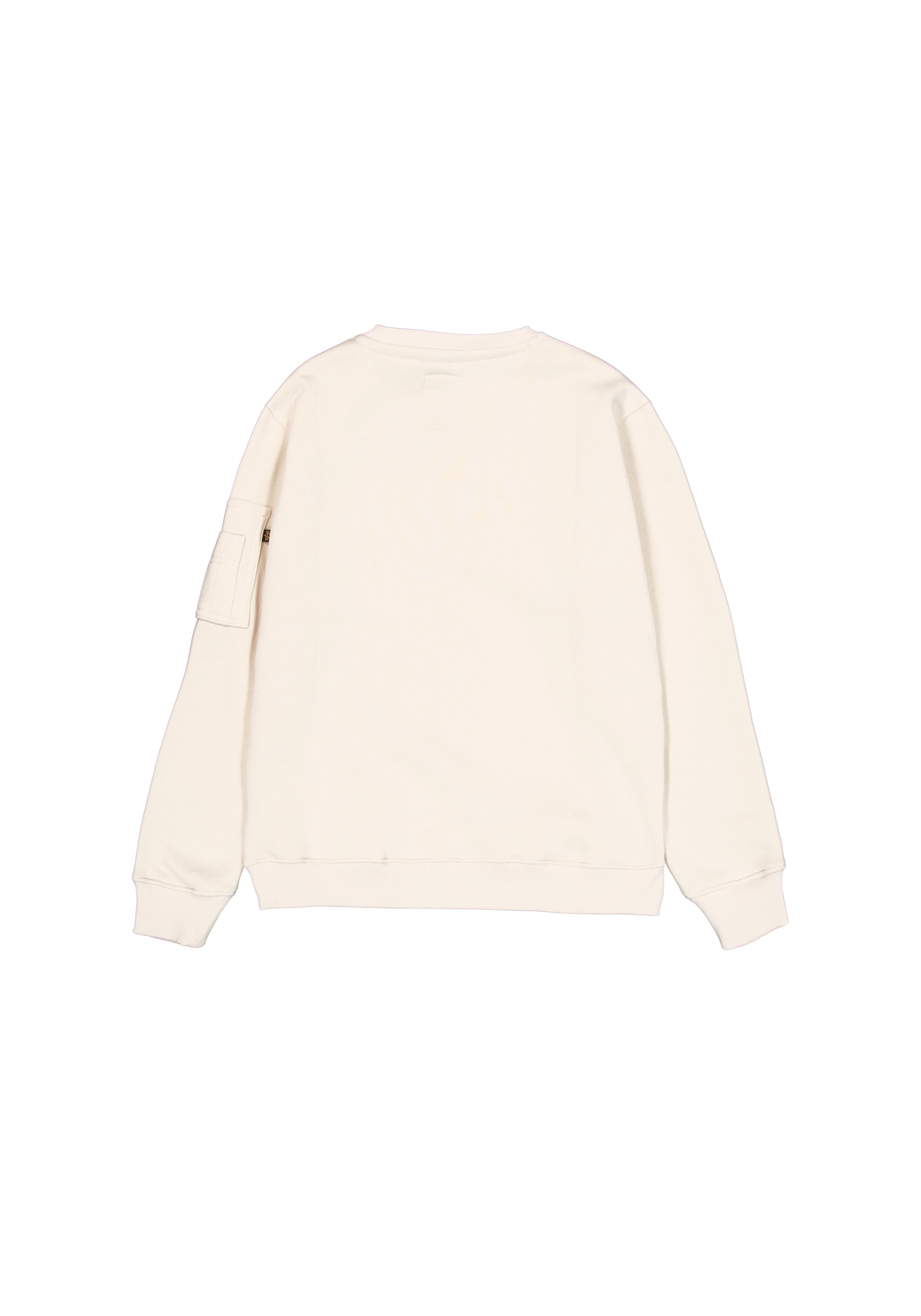 Alpha Industries Sweater »Alpha Industries Men - Sweatshirts Alpha Refl. Print Sweater«