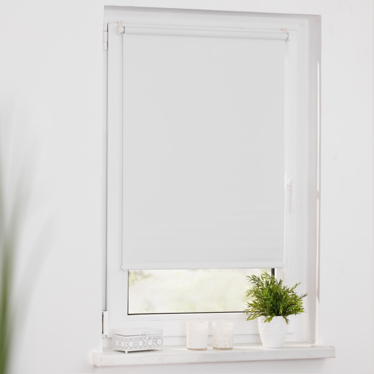 LICHTBLICK ORIGINAL Seitenzugrollo "Uni Rollo" verdunkelnd Verdunkelung  en günstig online kaufen