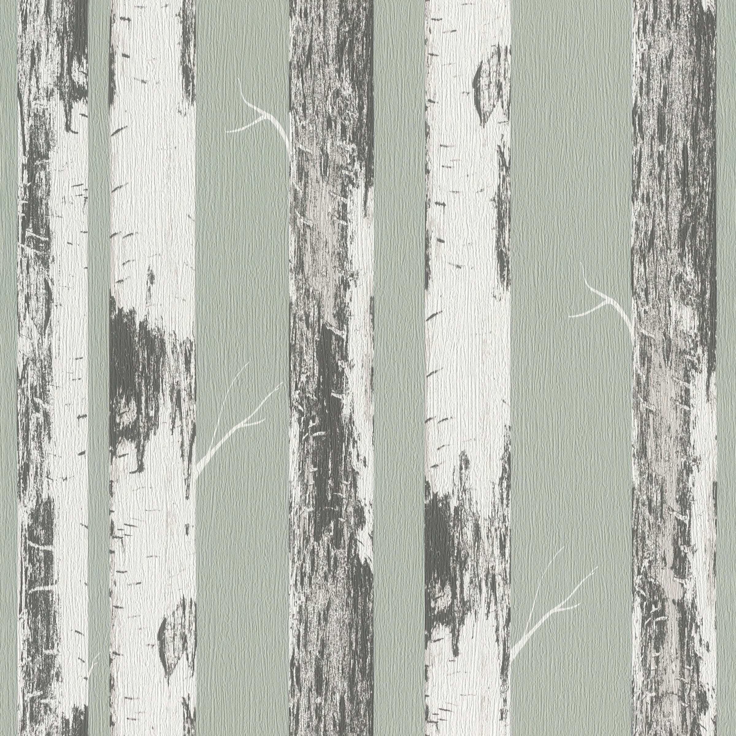 Rasch Papiertapete »mit Birkenstämmen«, Holz, Birkenwald