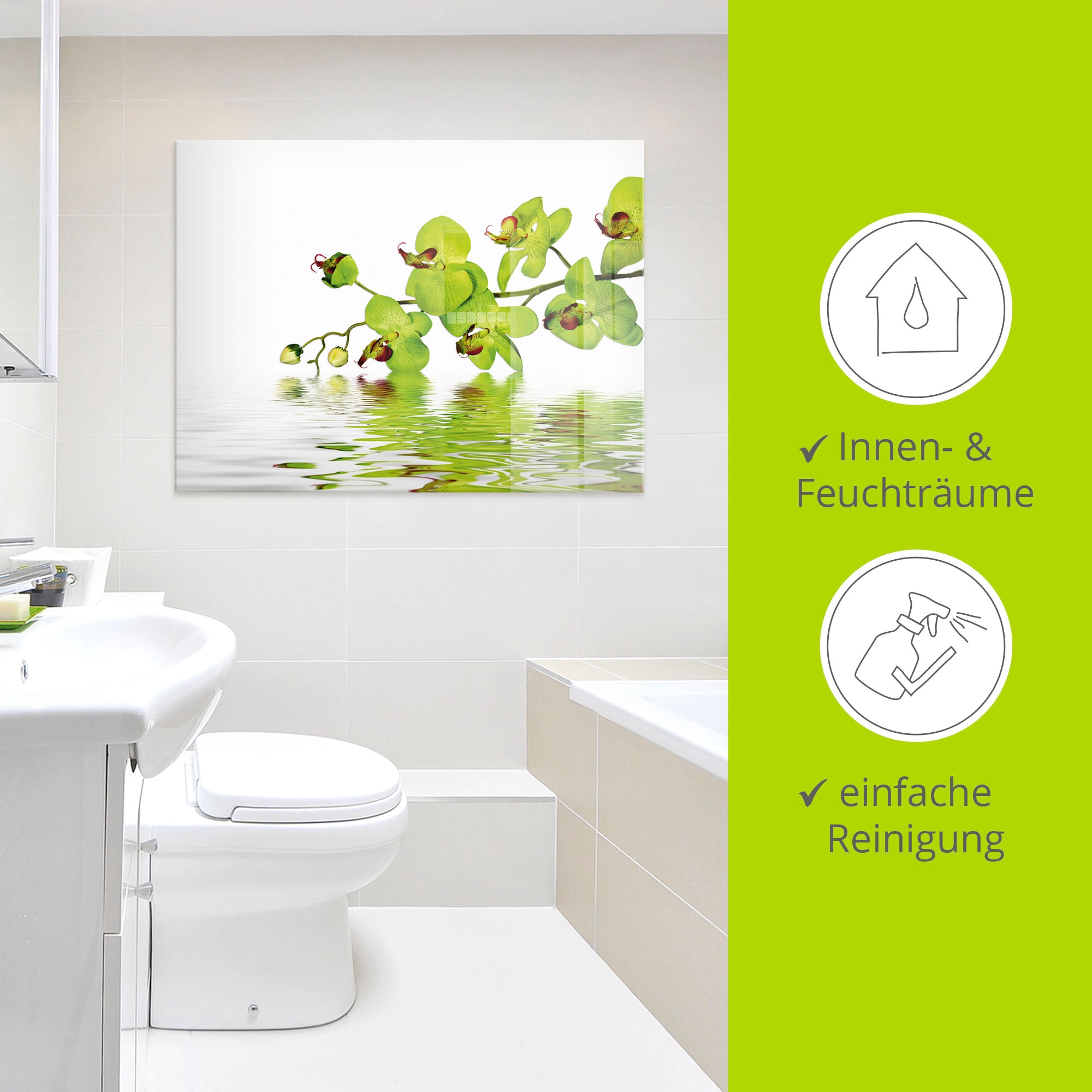 Artland Glasbild »Schöne Orchidee mit grünem Hintergrund«, Blumen, (1 St.), in verschiedenen Größen
