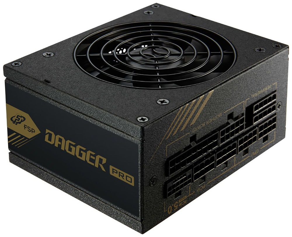 Fortron Netzteil »DAGGER PRO ATX3.0 850W«