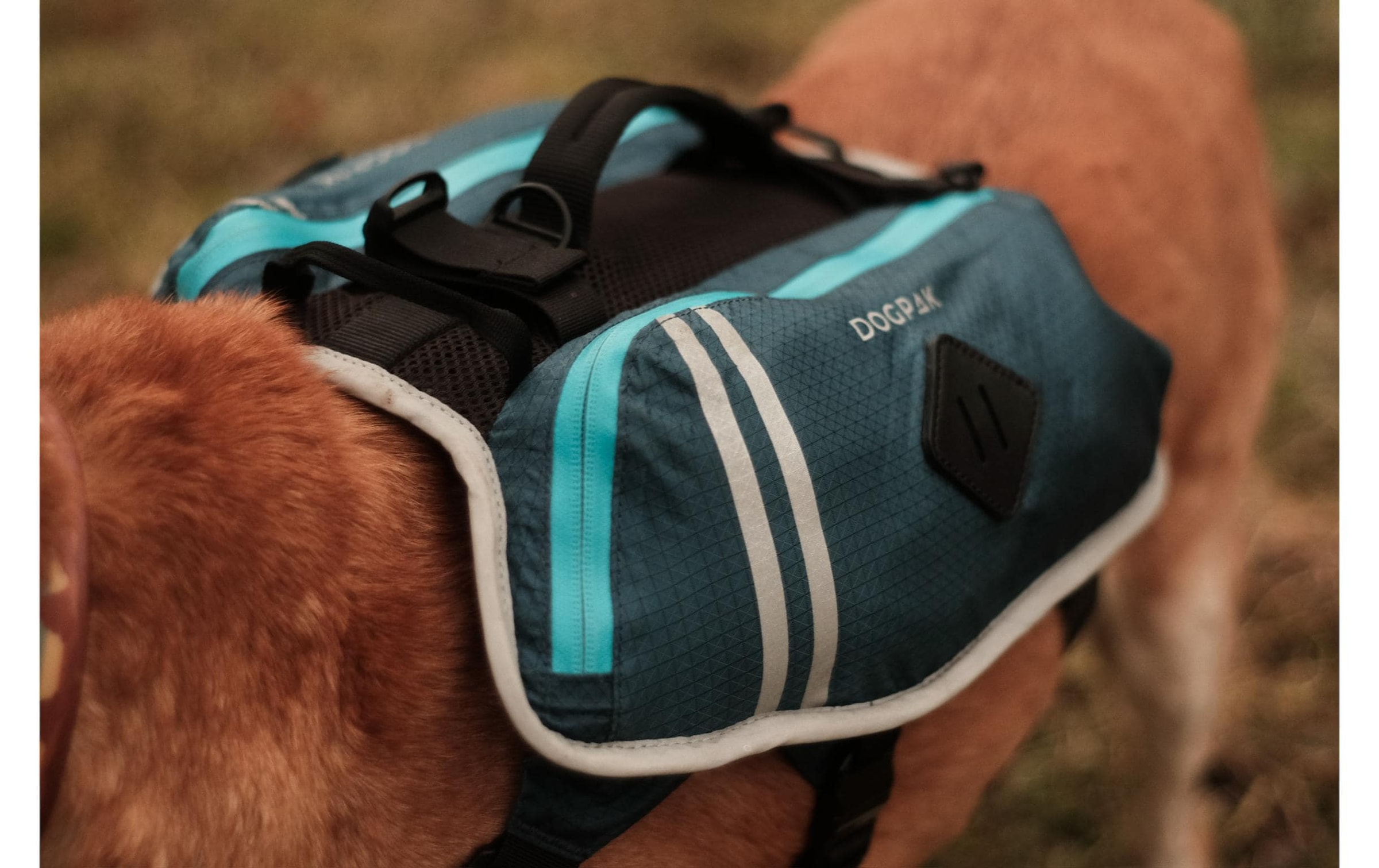   Hunde-Geschirr »DOGPAK Moab Lite Hunderucksack S« Rucksack und Wandergeschirr für Hunde aus «Die Höhle der Löwen»