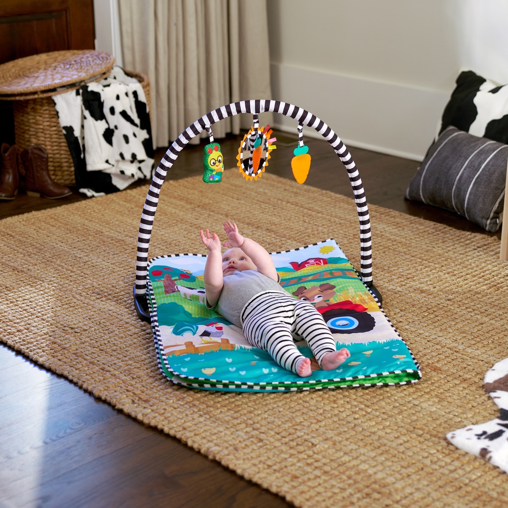 Baby Einstein Spielbogen »Farm Explorers Busy Barnyard Grow With Me« mit Sound