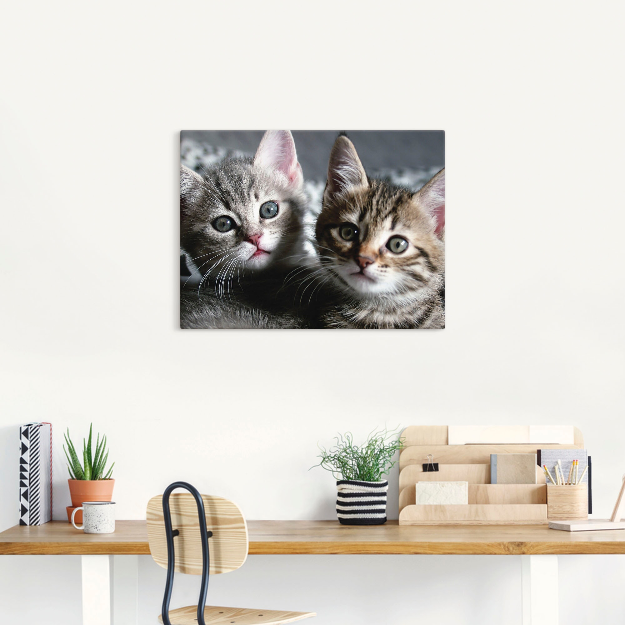 Artland Wandbild »Katze«, Haustiere, (1 St.), als Alubild, Outdoorbild, Leinwandbild, Poster, Wandaufkleber