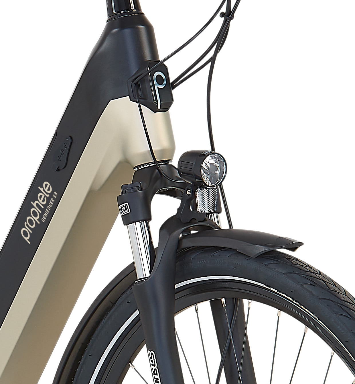 Prophete »Geniesser 3.8« 7 Gang Shimano Nexus Schaltwerk Nabenschaltung Mittelmotor 250 W