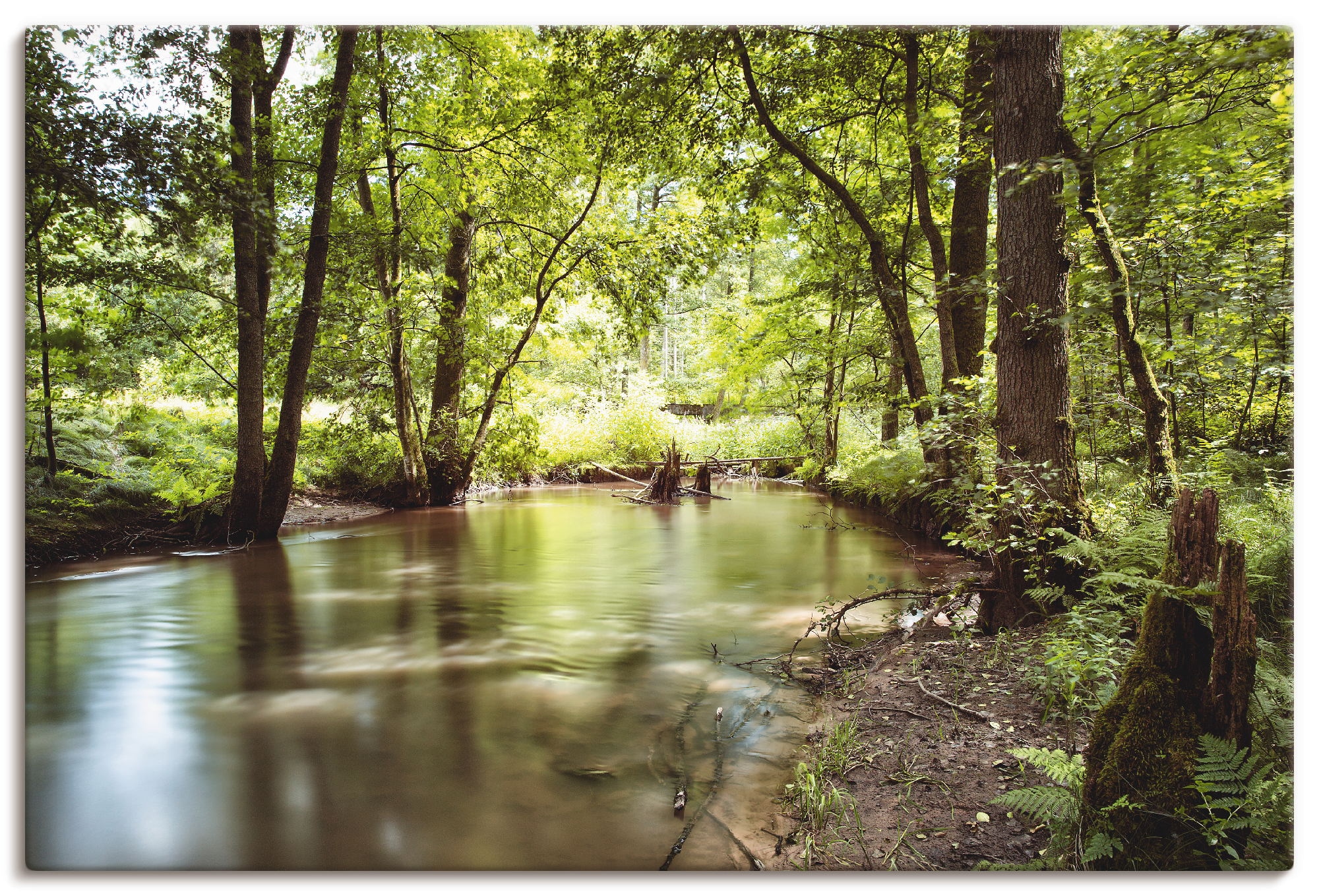 Artland Leinwandbild "Spessart II", Wald, (1 St.), auf Keilrahmen gespannt günstig online kaufen