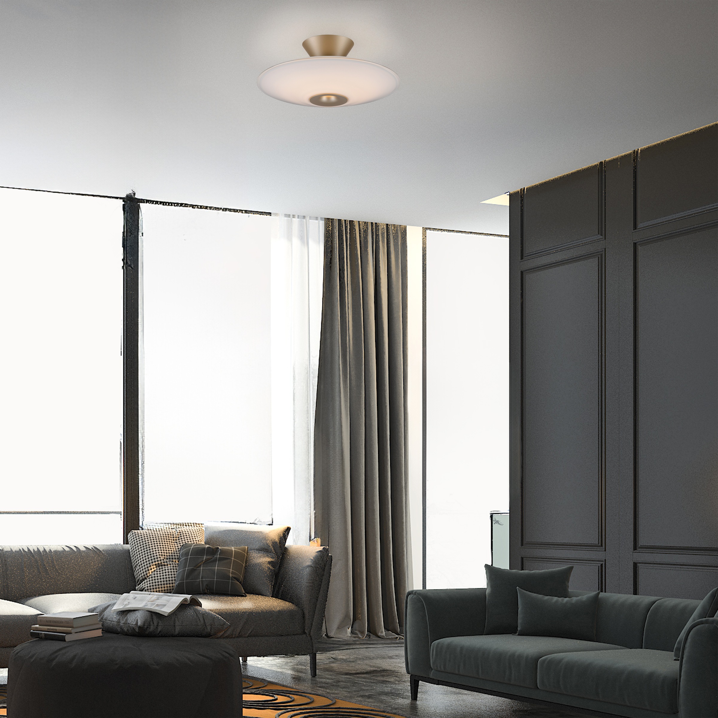 Paul Neuhaus LED Deckenleuchte »ELIPSA« LED-Board 1 Stk. Warmweiß Dimmfähig günstig online kaufen