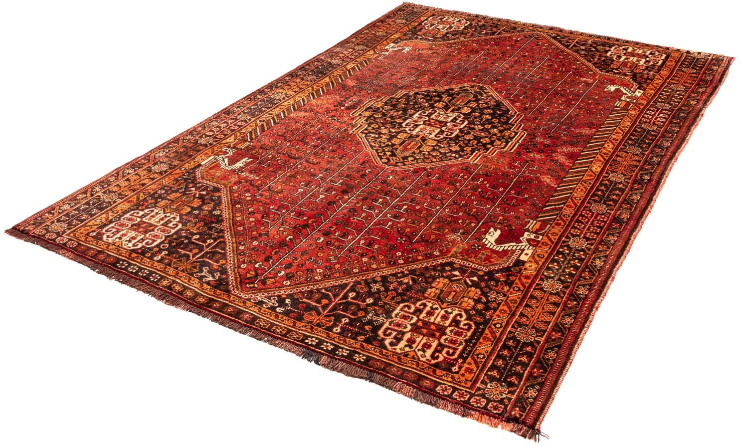 morgenland Wollteppich »Shiraz Medaillon 238 x 174 cm«, rechteckig, 1 mm Hö günstig online kaufen